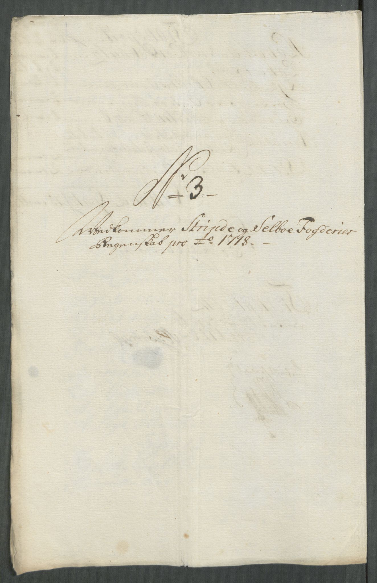 Rentekammeret inntil 1814, Reviderte regnskaper, Fogderegnskap, AV/RA-EA-4092/R61/L4116: Fogderegnskap Strinda og Selbu, 1717-1718, p. 354