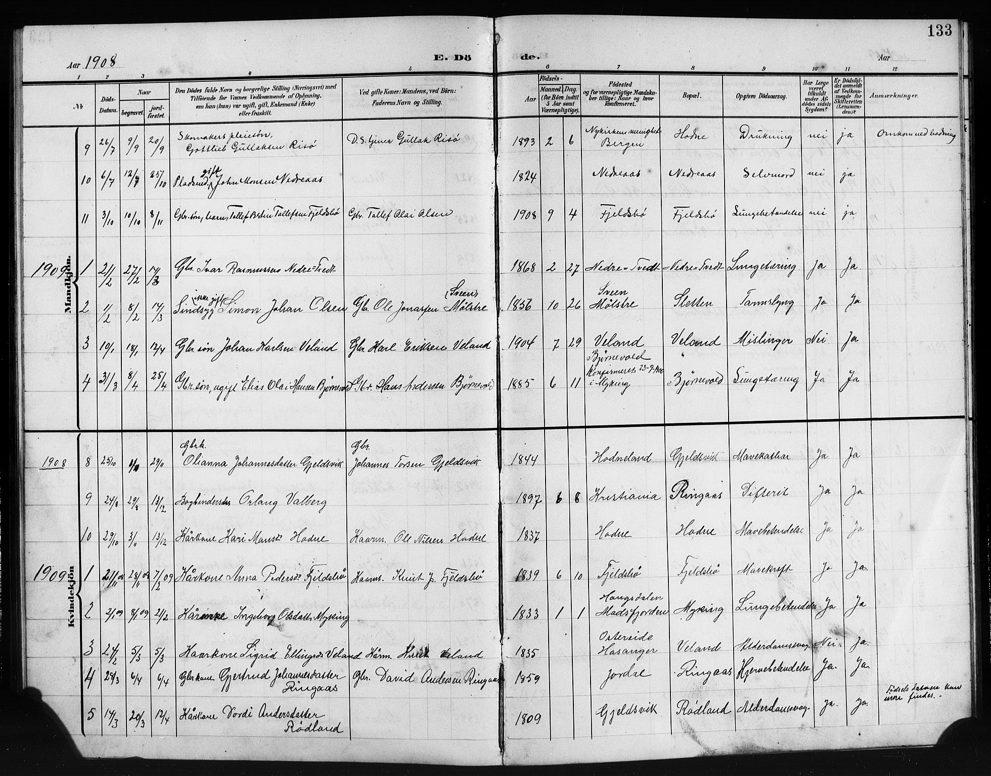 Lindås Sokneprestembete, AV/SAB-A-76701/H/Hab/Habe/L0004: Parish register (copy) no. E 4, 1906-1921, p. 133
