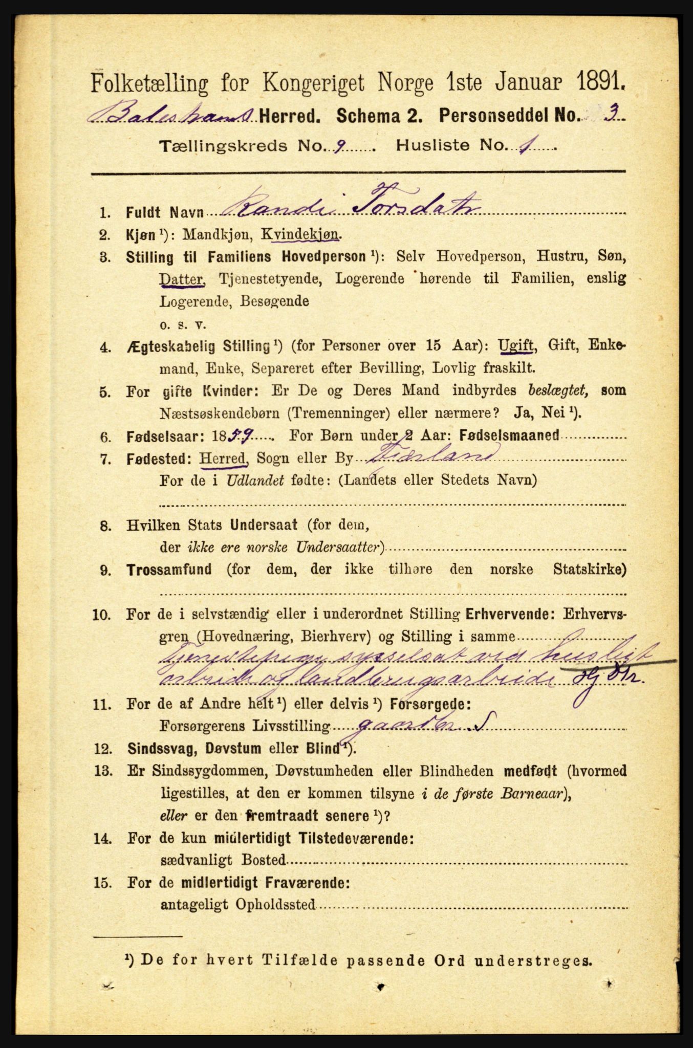 RA, 1891 census for 1418 Balestrand, 1891, p. 2047