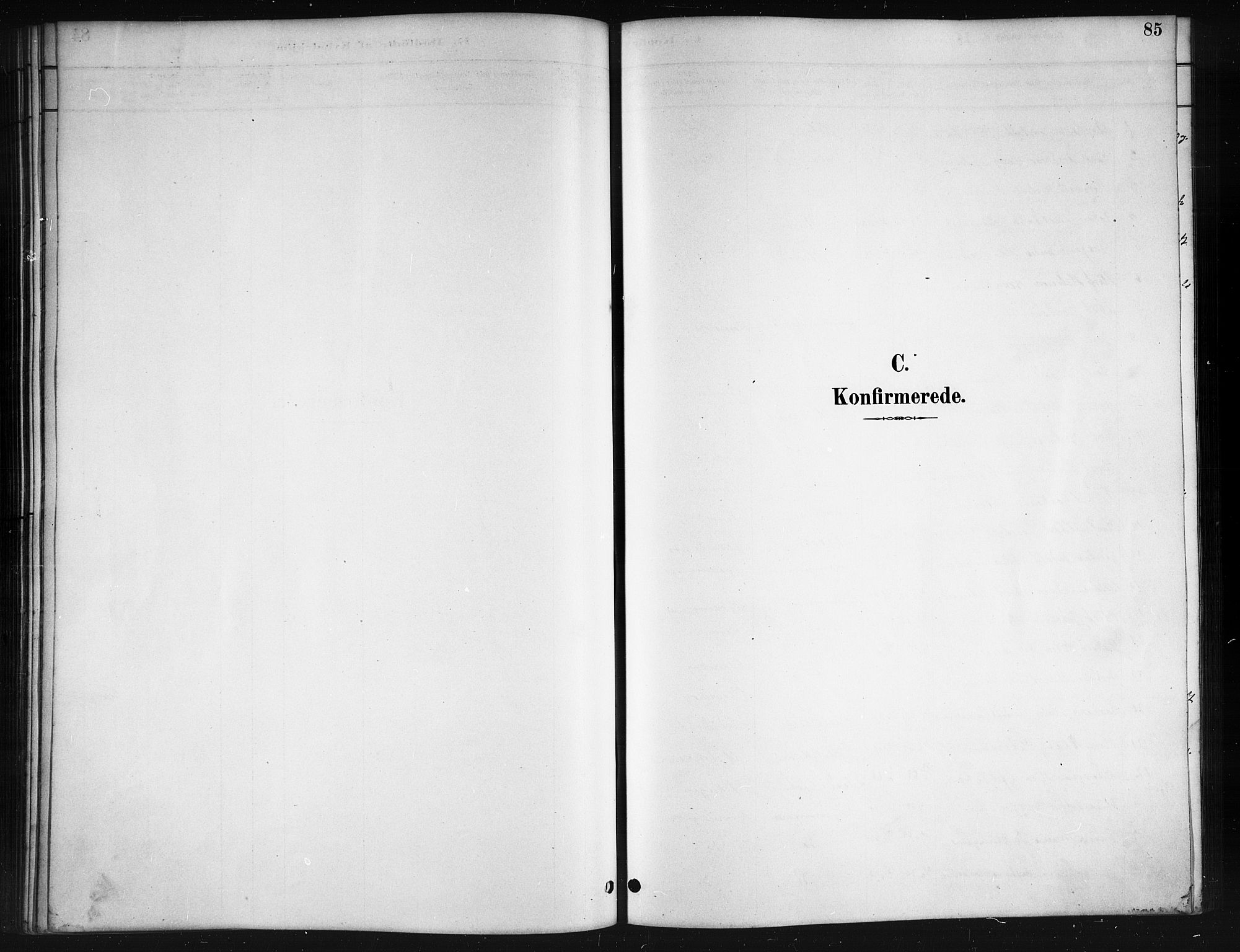 Ministerialprotokoller, klokkerbøker og fødselsregistre - Nordland, SAT/A-1459/895/L1382: Parish register (copy) no. 895C04, 1885-1896, p. 85
