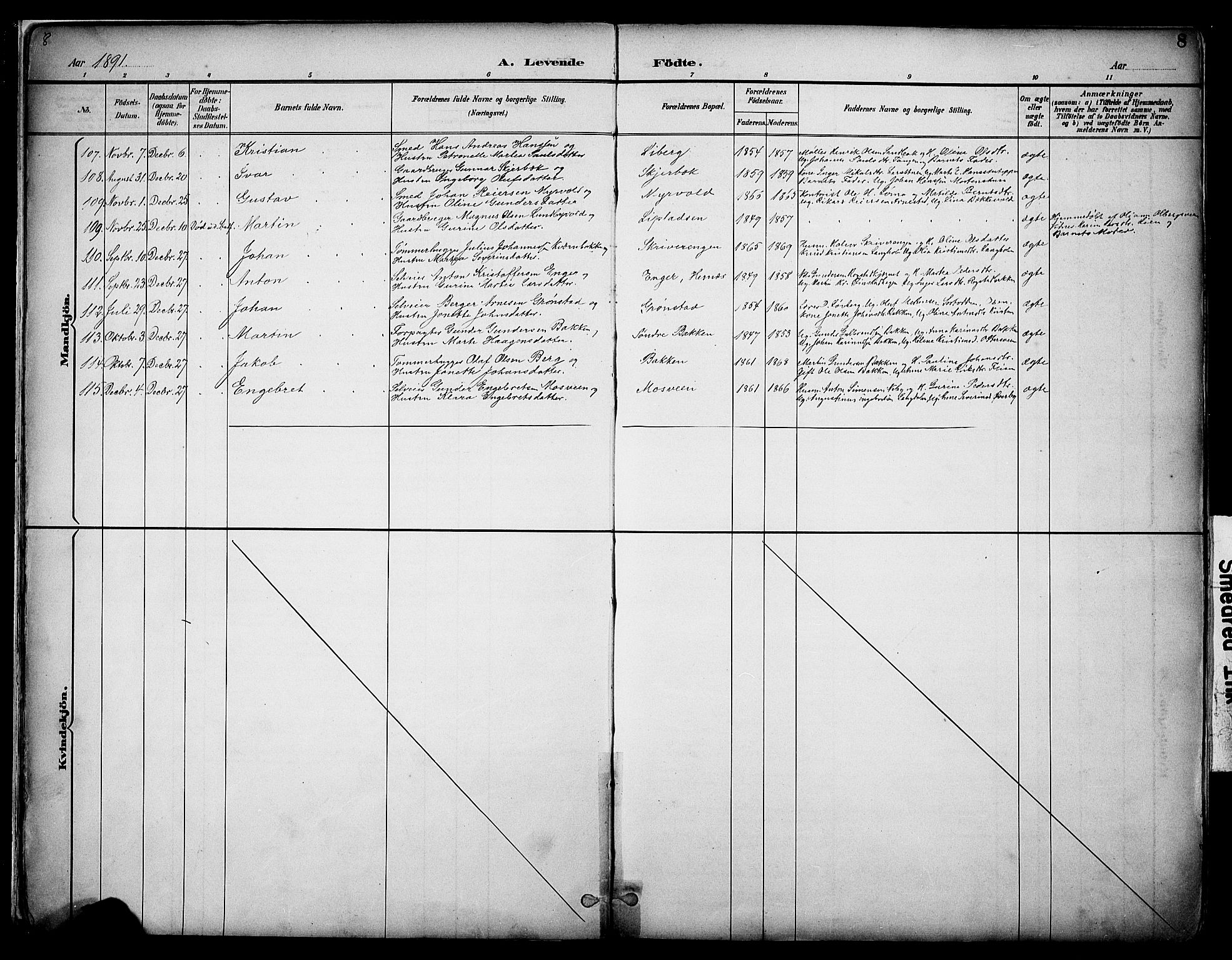 Elverum prestekontor, AV/SAH-PREST-044/H/Ha/Haa/L0014: Parish register (official) no. 14, 1891-1909, p. 8