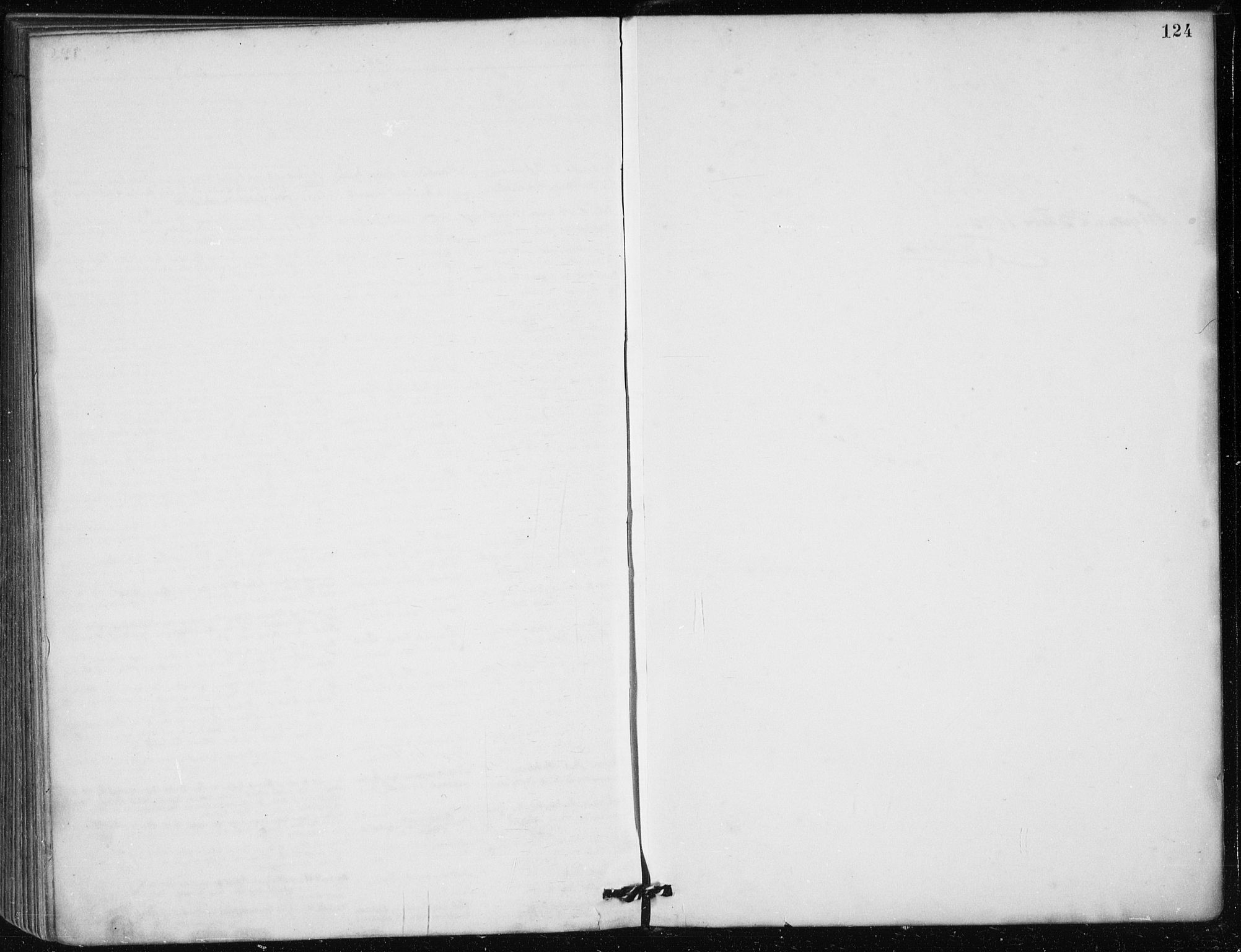Mariakirken Sokneprestembete, AV/SAB-A-76901/H/Haa/L0013: Parish register (official) no. C 1, 1889-1900, p. 124