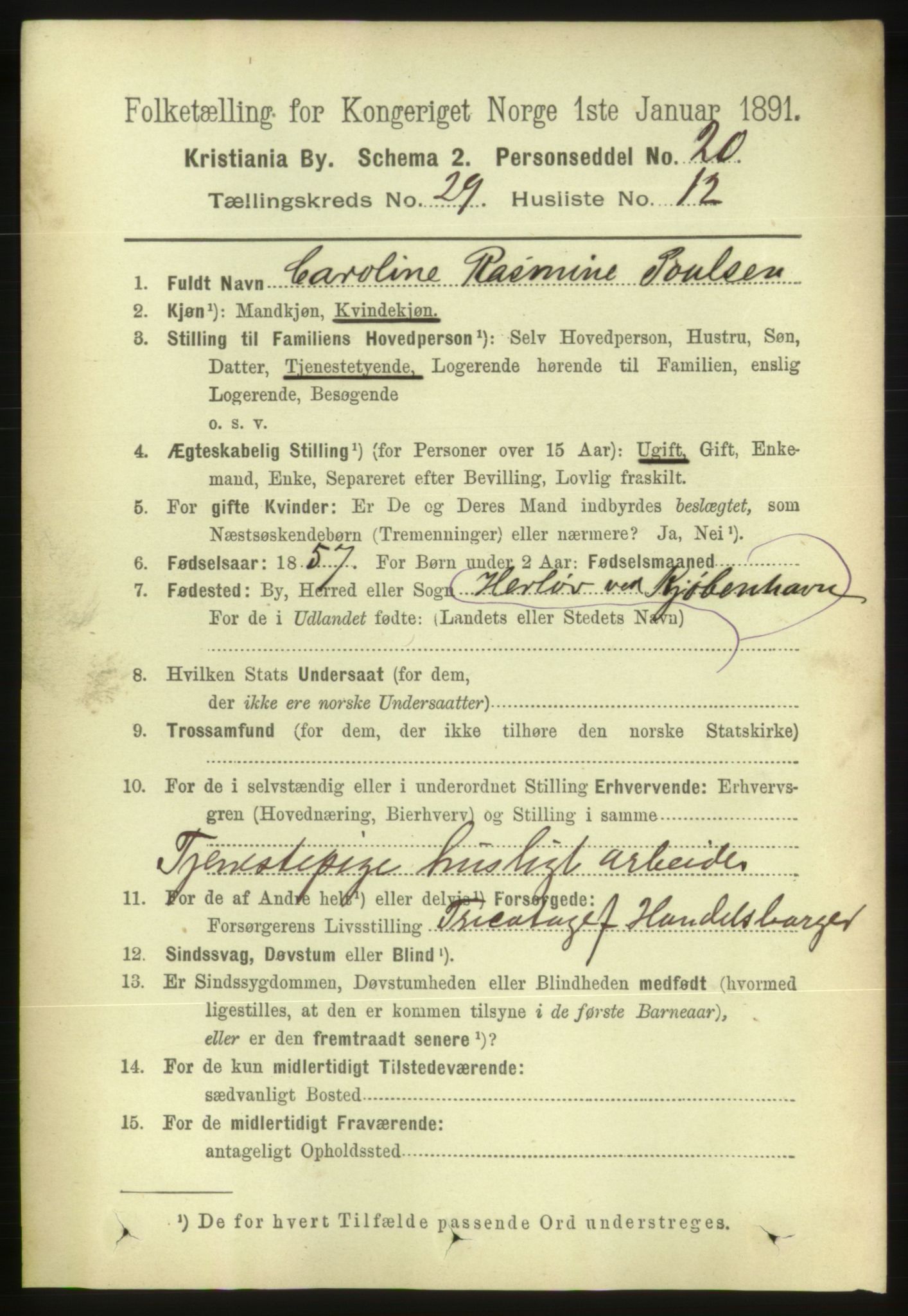 RA, 1891 census for 0301 Kristiania, 1891, p. 15206