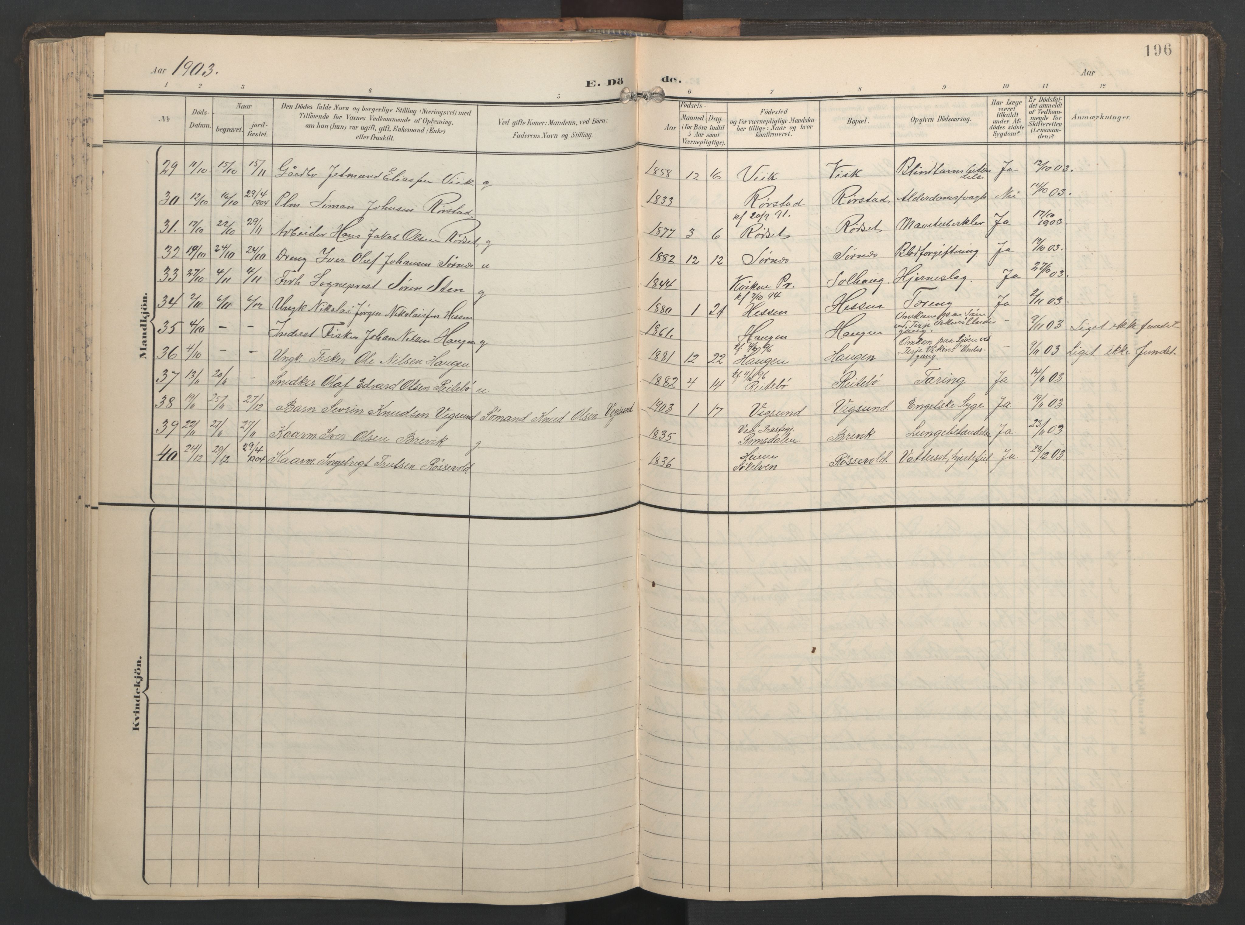 Ministerialprotokoller, klokkerbøker og fødselsregistre - Møre og Romsdal, AV/SAT-A-1454/528/L0433: Parish register (copy) no. 528C14, 1899-1922, p. 196