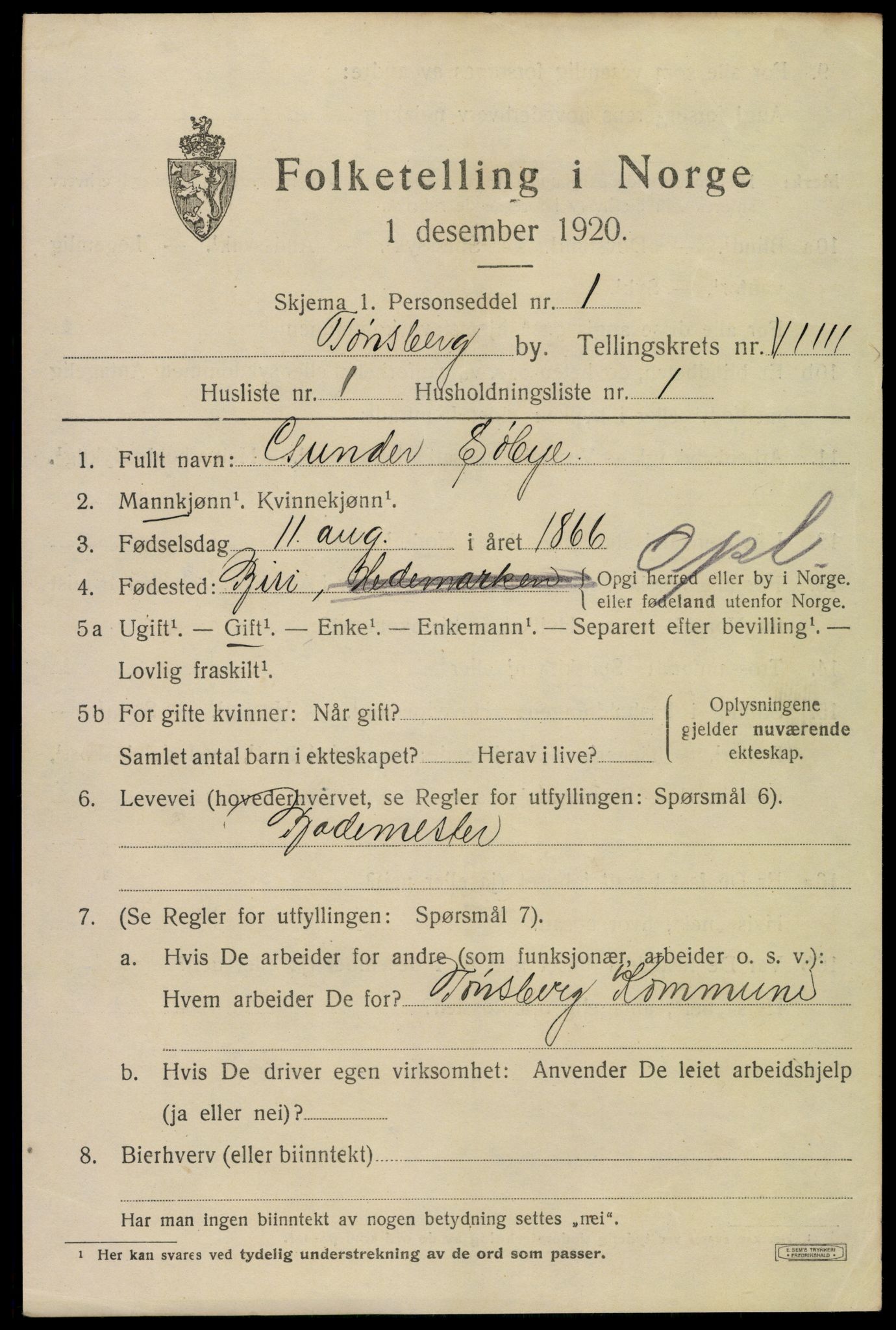 SAKO, 1920 census for Tønsberg, 1920, p. 17313