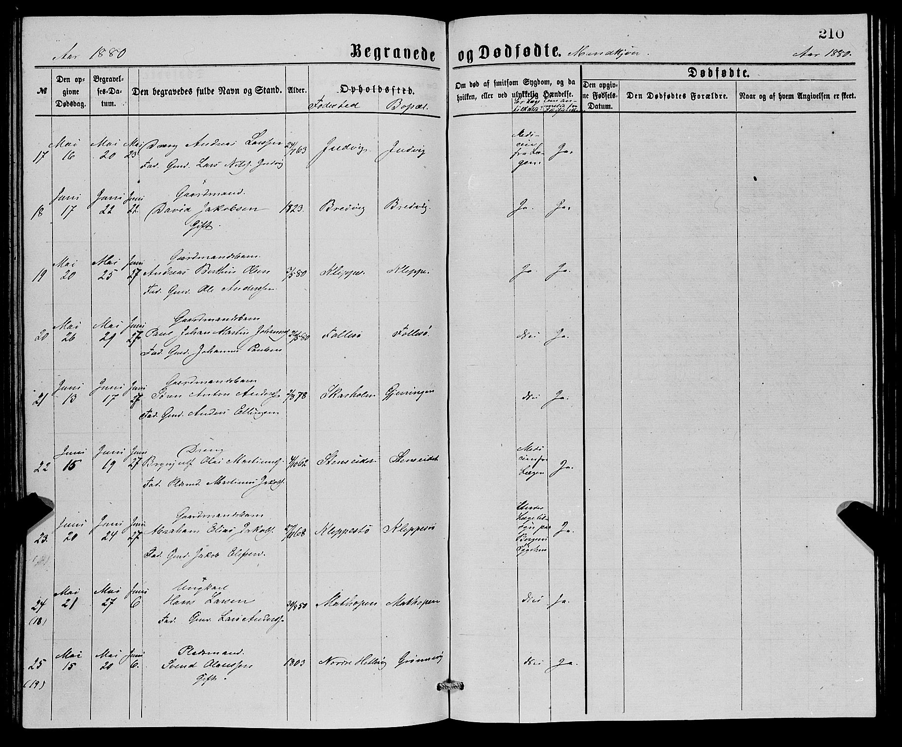 Askøy Sokneprestembete, AV/SAB-A-74101/H/Ha/Hab/Haba/L0007: Parish register (copy) no. A 7, 1871-1881, p. 210