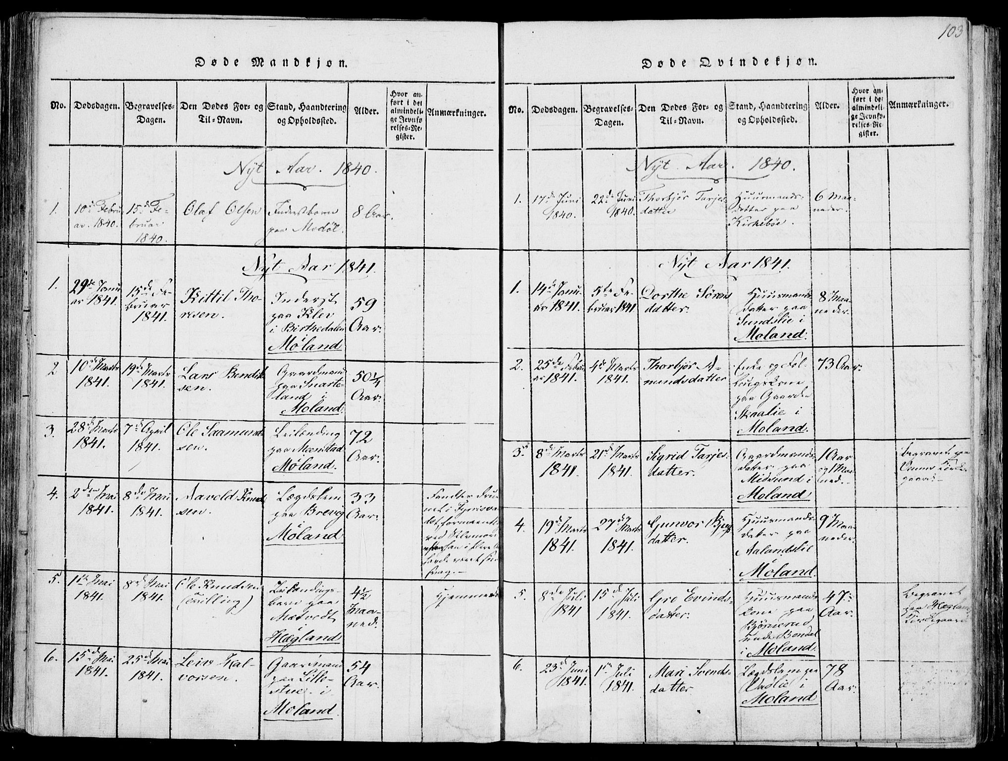 Fyresdal kirkebøker, SAKO/A-263/F/Fa/L0004: Parish register (official) no. I 4, 1815-1854, p. 103