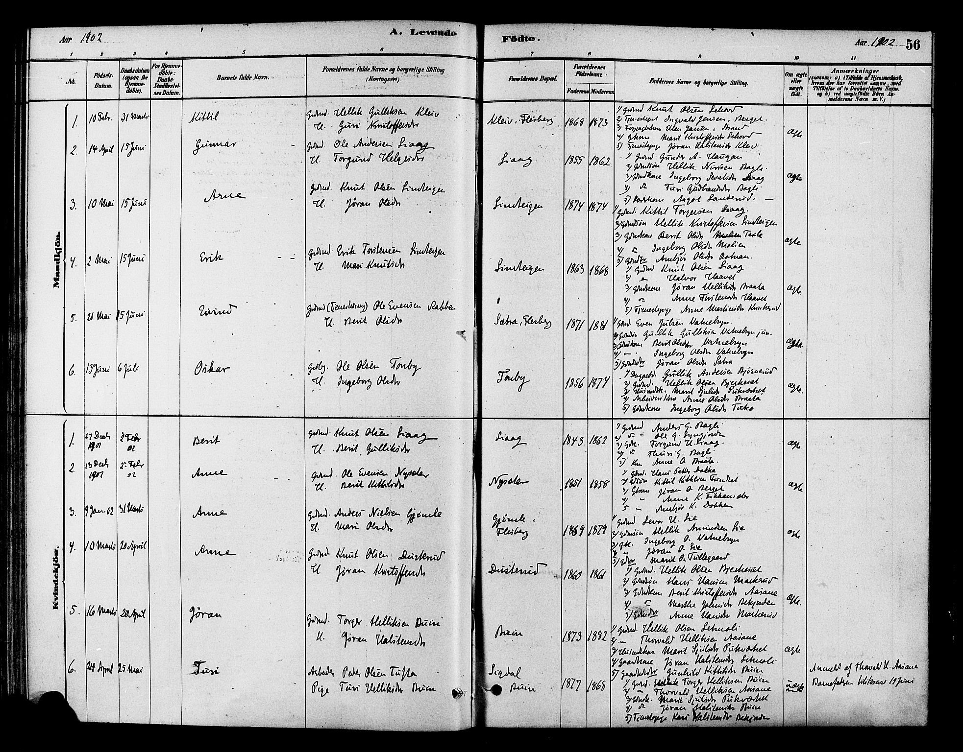 Flesberg kirkebøker, SAKO/A-18/F/Fc/L0001: Parish register (official) no. III 1, 1879-1905, p. 56