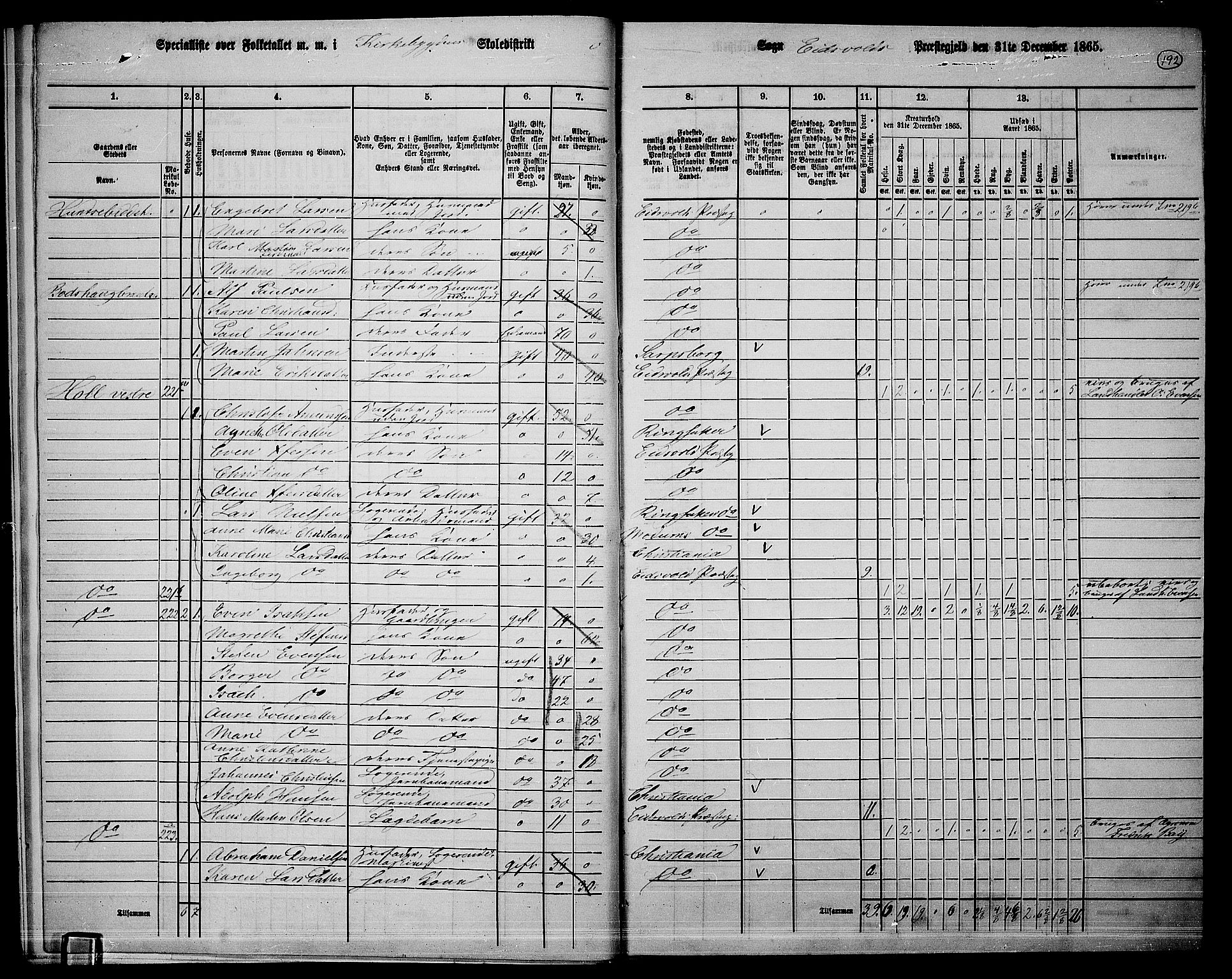 RA, 1865 census for Eidsvoll, 1865, p. 173