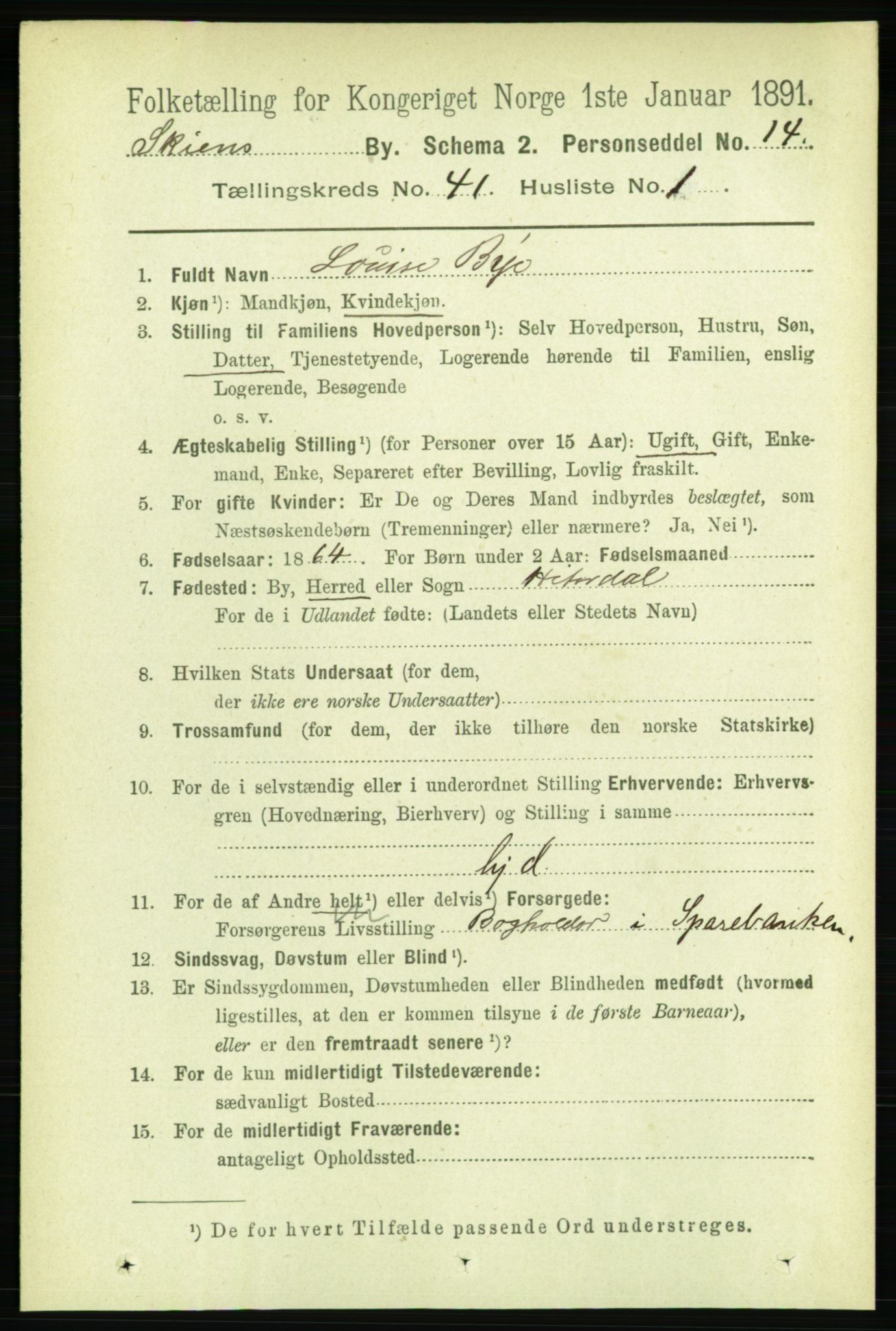 RA, 1891 census for 0806 Skien, 1891, p. 8454