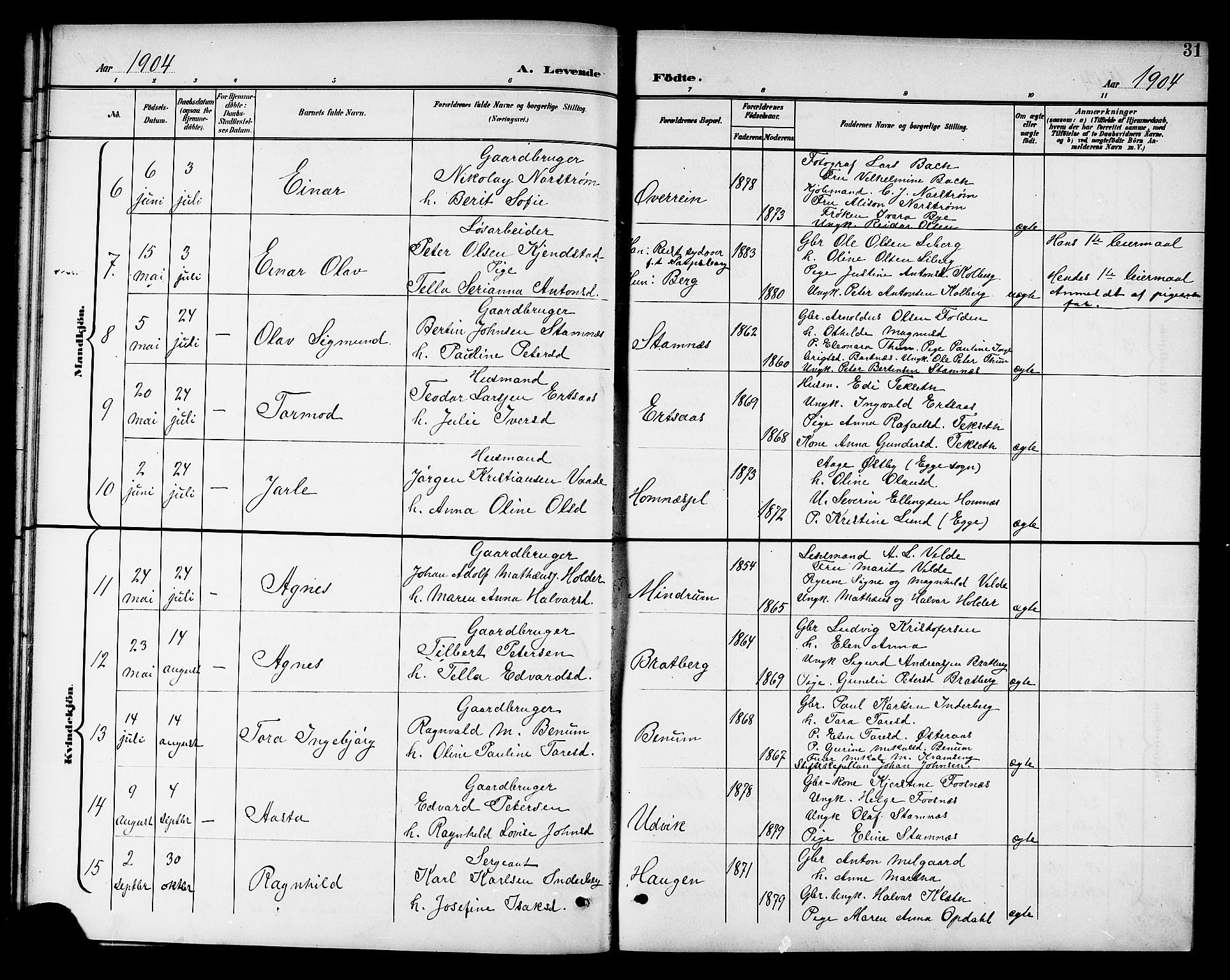 Ministerialprotokoller, klokkerbøker og fødselsregistre - Nord-Trøndelag, SAT/A-1458/741/L0401: Parish register (copy) no. 741C02, 1899-1911, p. 31