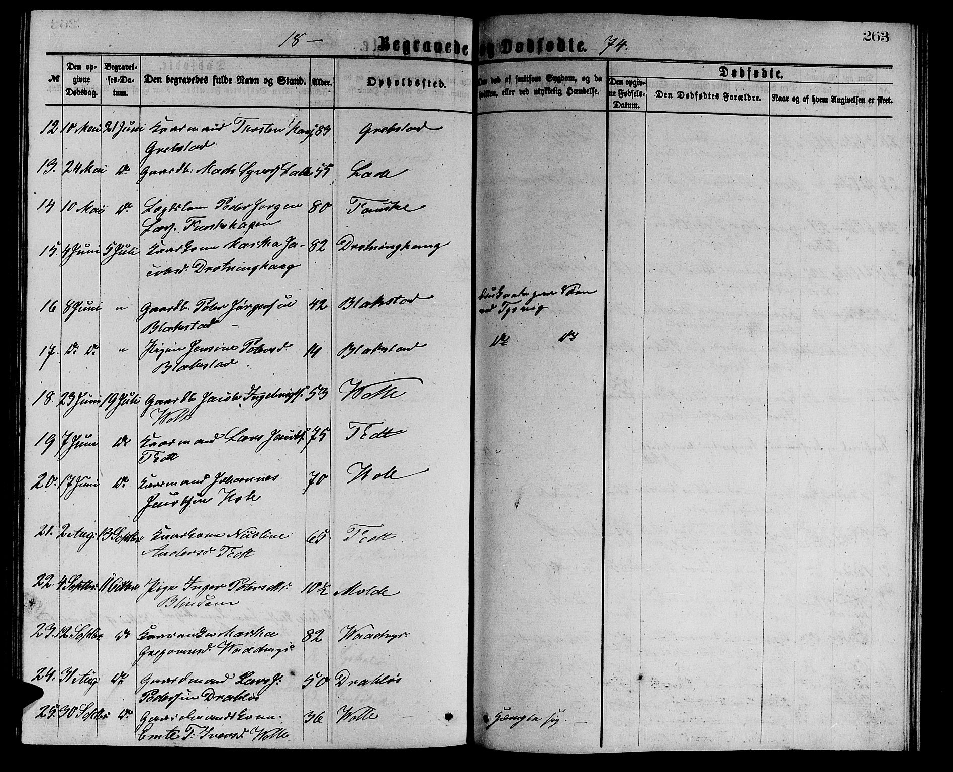 Ministerialprotokoller, klokkerbøker og fødselsregistre - Møre og Romsdal, AV/SAT-A-1454/523/L0338: Parish register (copy) no. 523C01, 1865-1877, p. 263