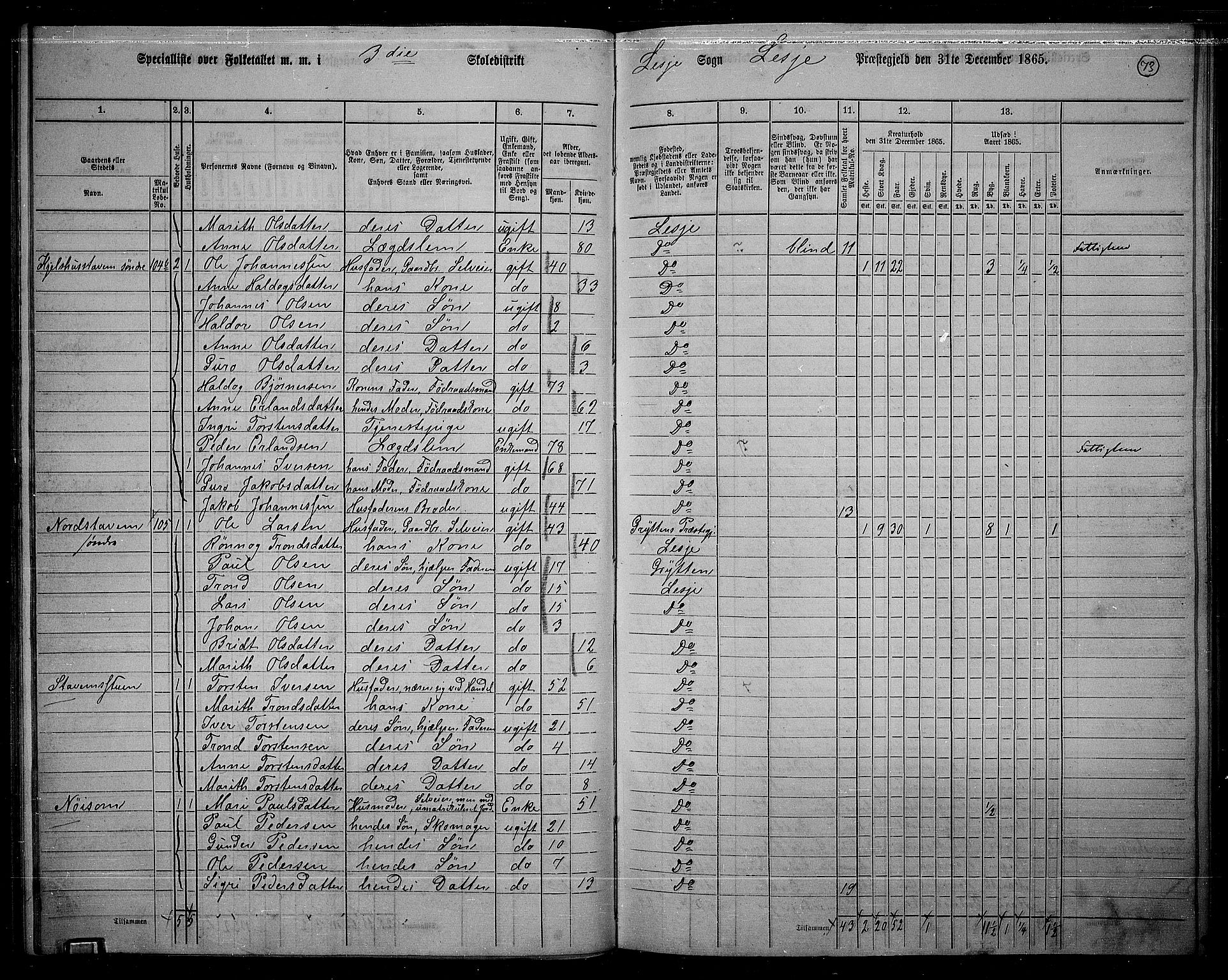 RA, 1865 census for Lesja, 1865, p. 63