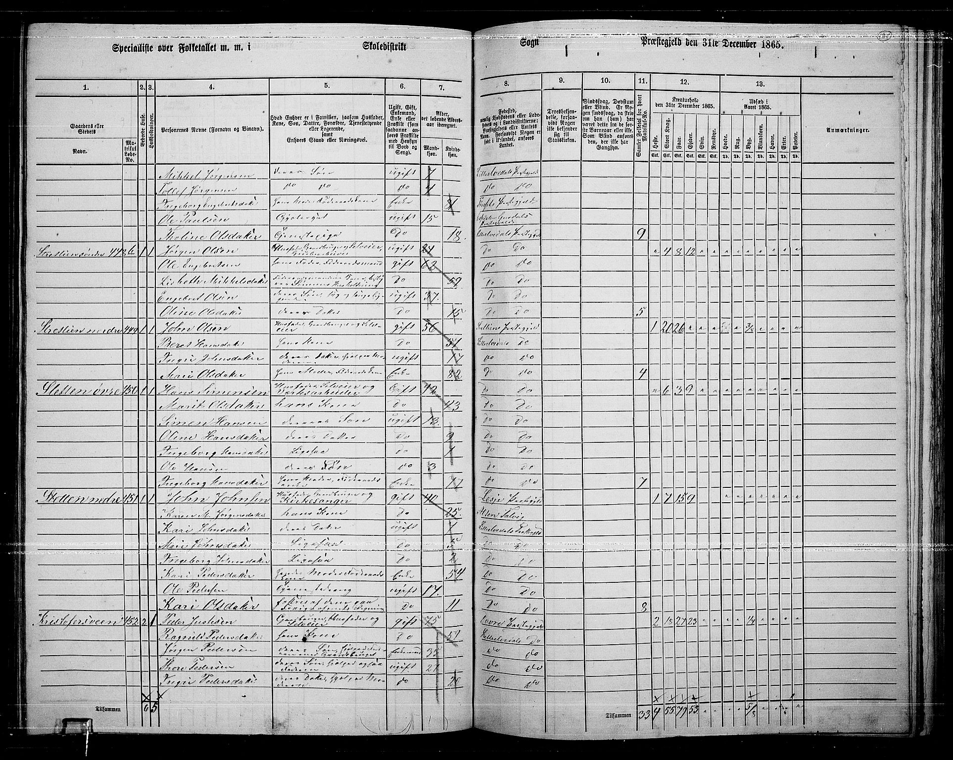 RA, 1865 census for Lille Elvedalen, 1865, p. 111