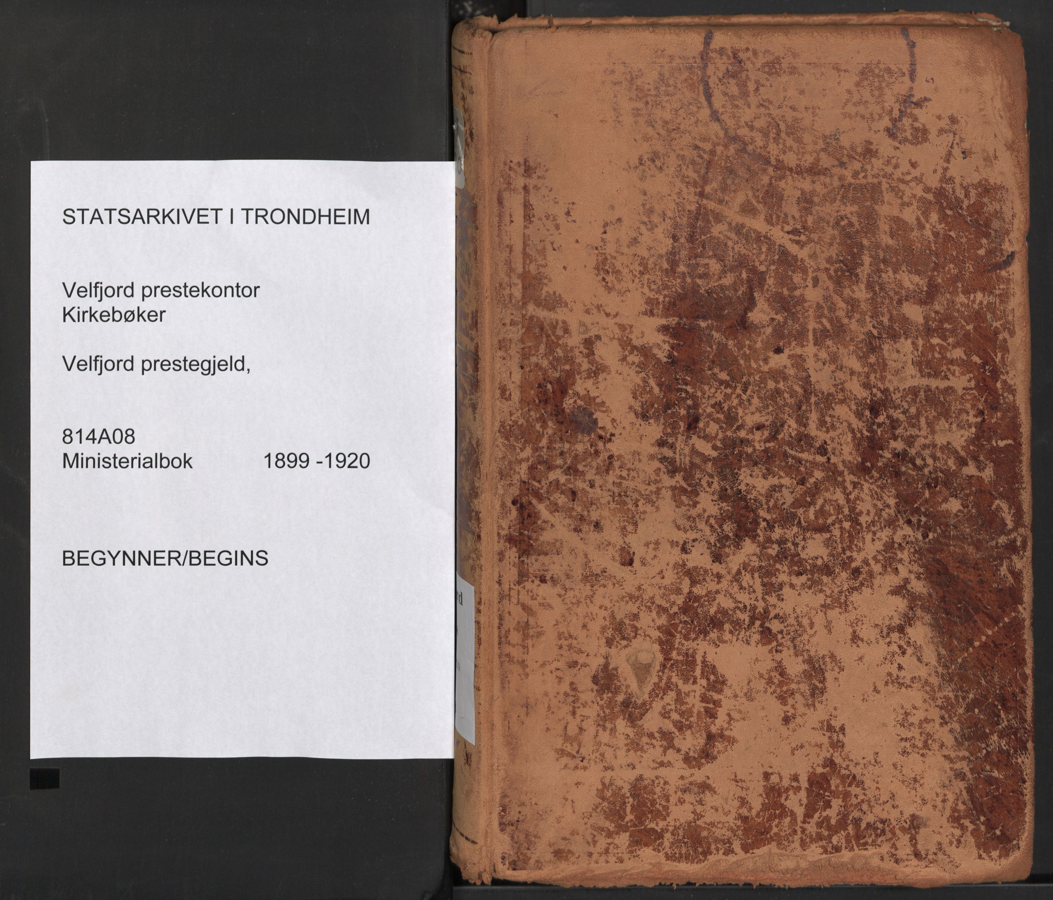 Ministerialprotokoller, klokkerbøker og fødselsregistre - Nordland, SAT/A-1459/814/L0227: Parish register (official) no. 814A08, 1899-1920