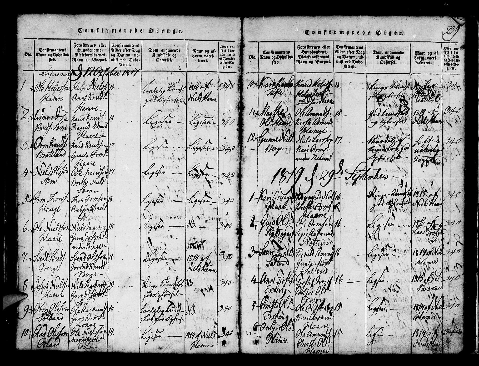 Røldal sokneprestembete, SAB/A-100247: Parish register (copy) no. A 1, 1817-1860, p. 239