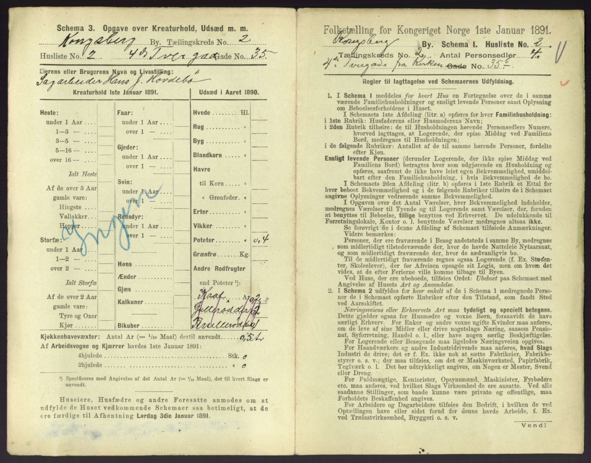 RA, 1891 census for 0604 Kongsberg, 1891, p. 195