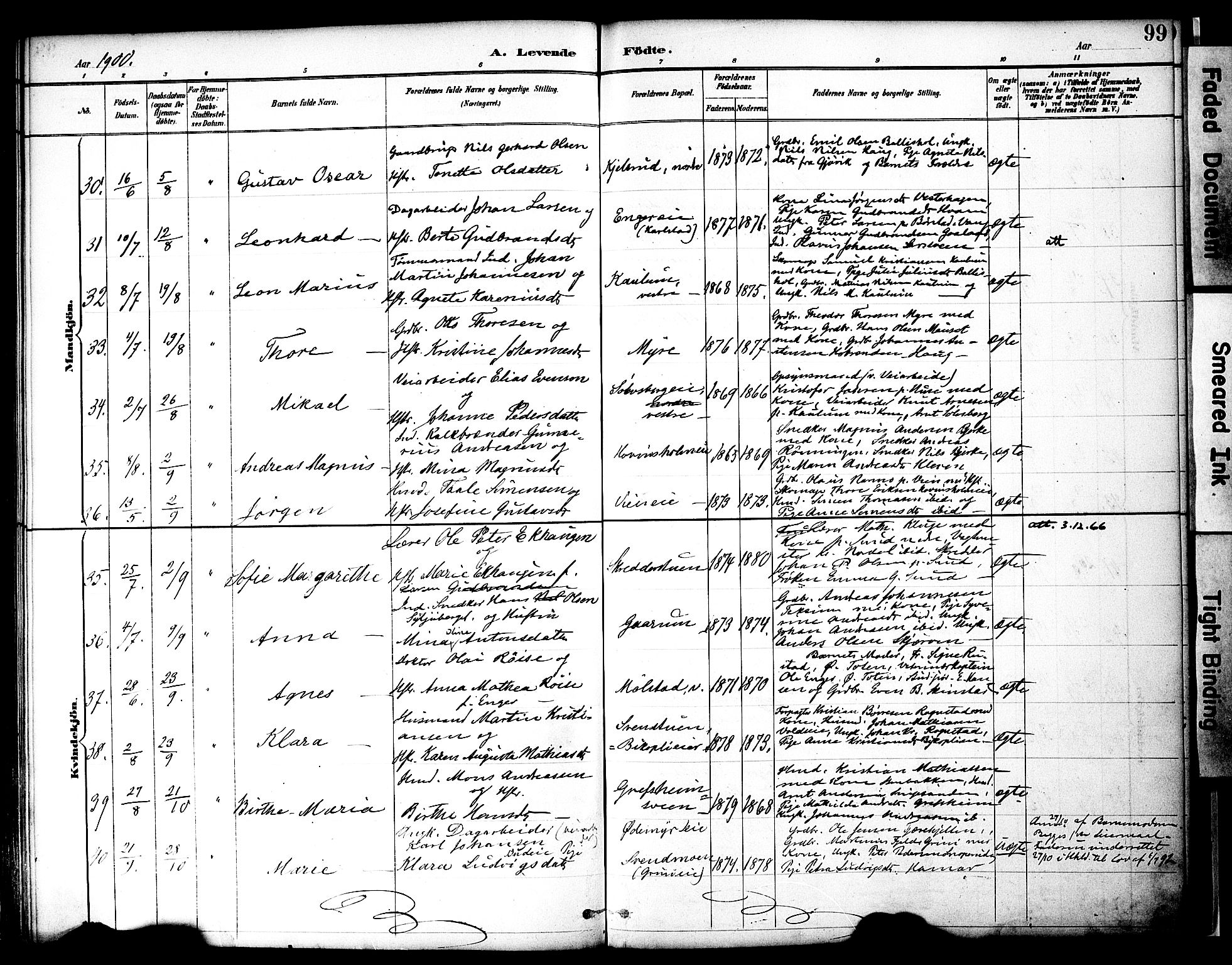 Nes prestekontor, Hedmark, SAH/PREST-020/K/Ka/L0009: Parish register (official) no. 9, 1887-1905, p. 99