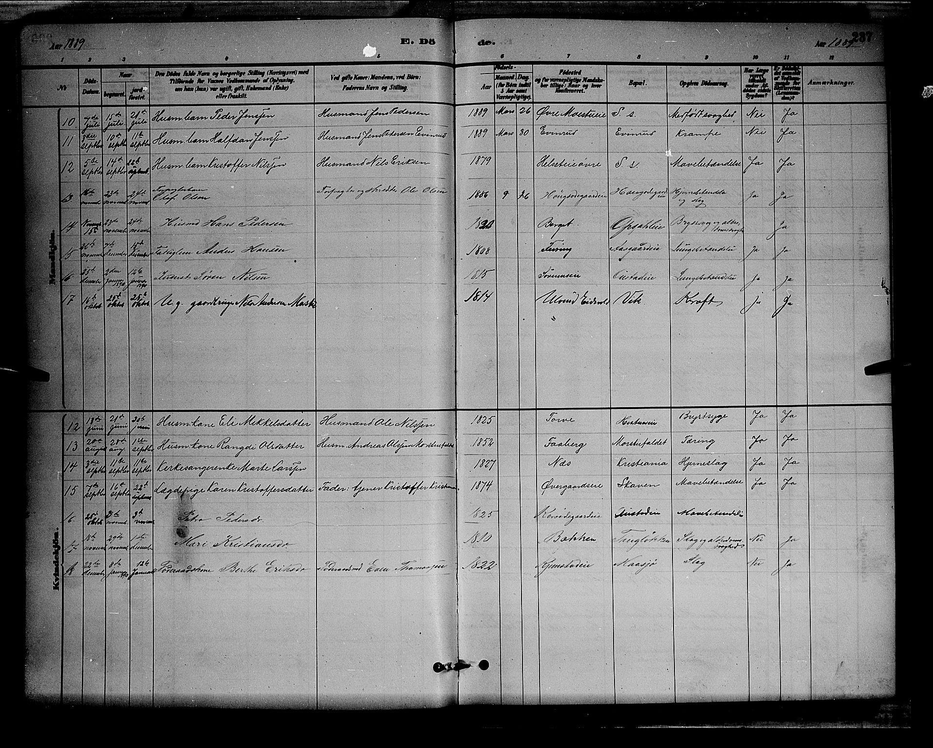 Stange prestekontor, AV/SAH-PREST-002/L/L0008: Parish register (copy) no. 8, 1882-1895, p. 237