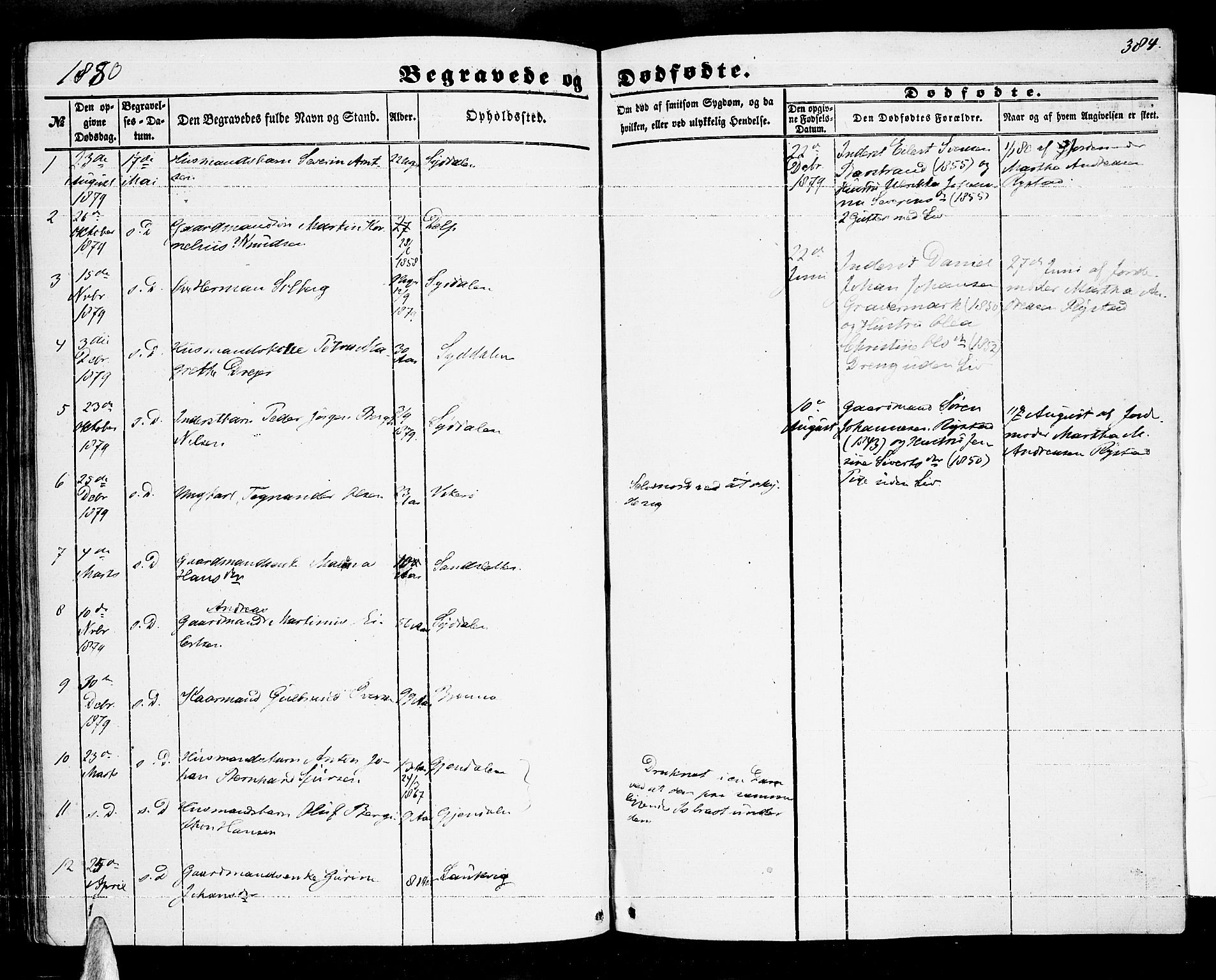 Ministerialprotokoller, klokkerbøker og fødselsregistre - Nordland, AV/SAT-A-1459/876/L1102: Parish register (copy) no. 876C01, 1852-1886, p. 384