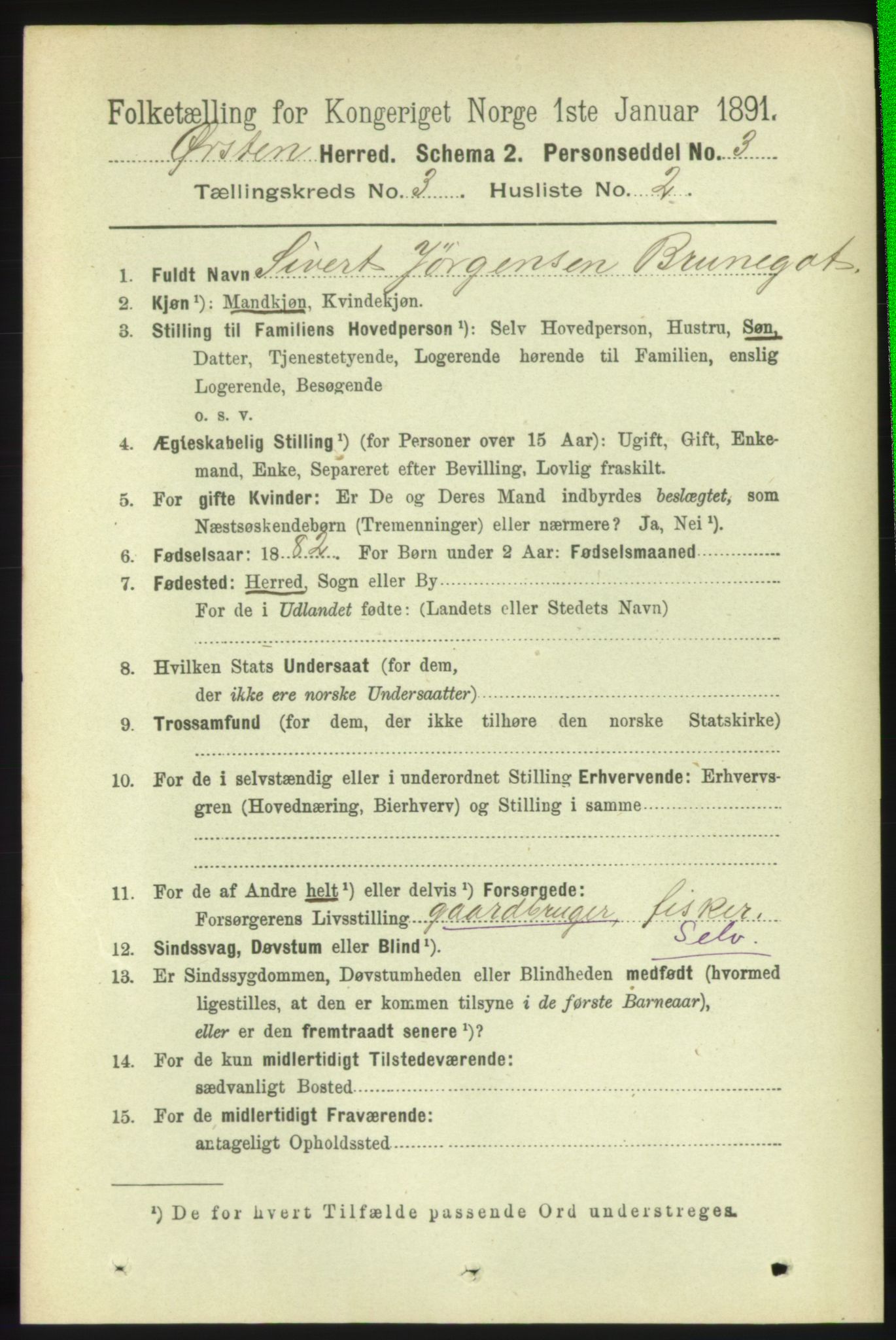 RA, 1891 census for 1520 Ørsta, 1891, p. 1217