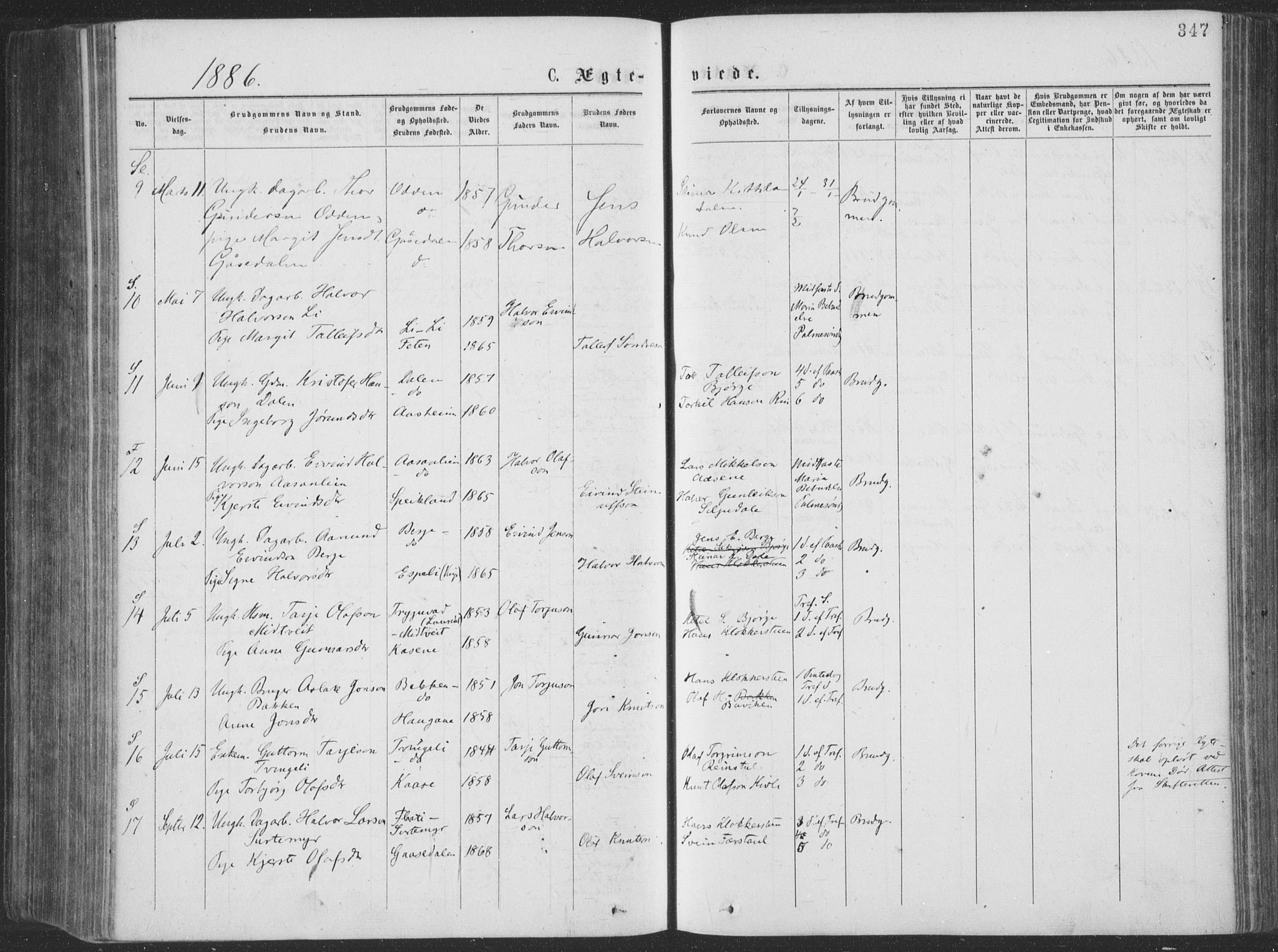 Seljord kirkebøker, SAKO/A-20/F/Fa/L0014: Parish register (official) no. I 14, 1877-1886, p. 347