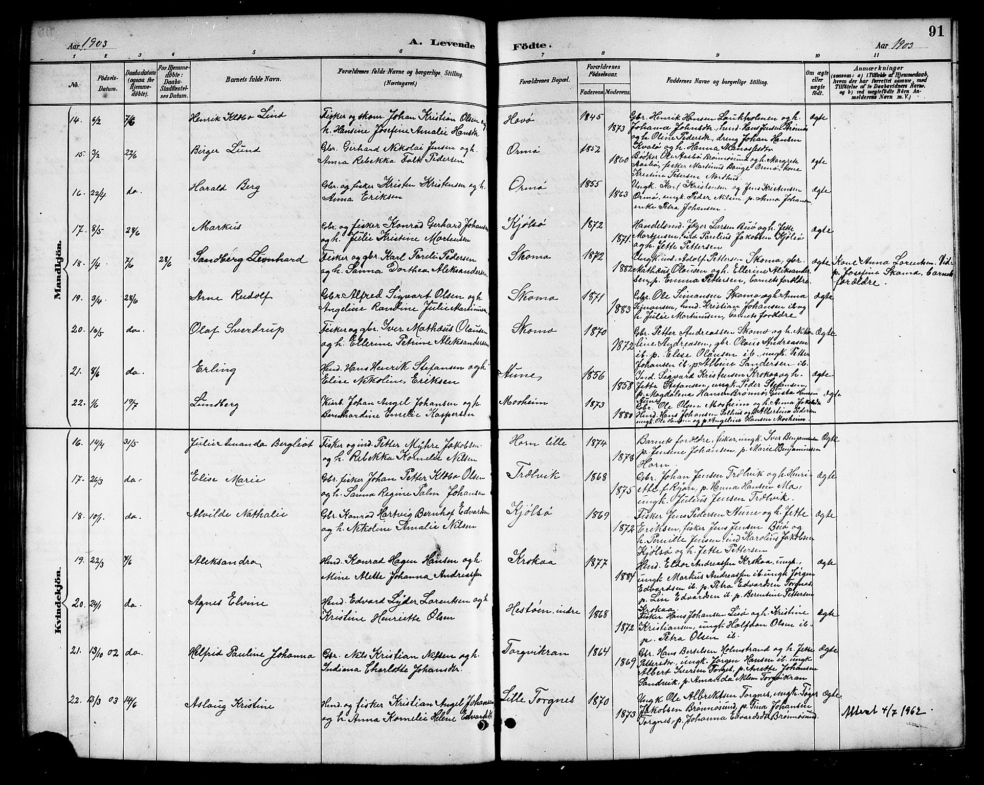 Ministerialprotokoller, klokkerbøker og fødselsregistre - Nordland, AV/SAT-A-1459/813/L0213: Parish register (copy) no. 813C05, 1887-1903, p. 91