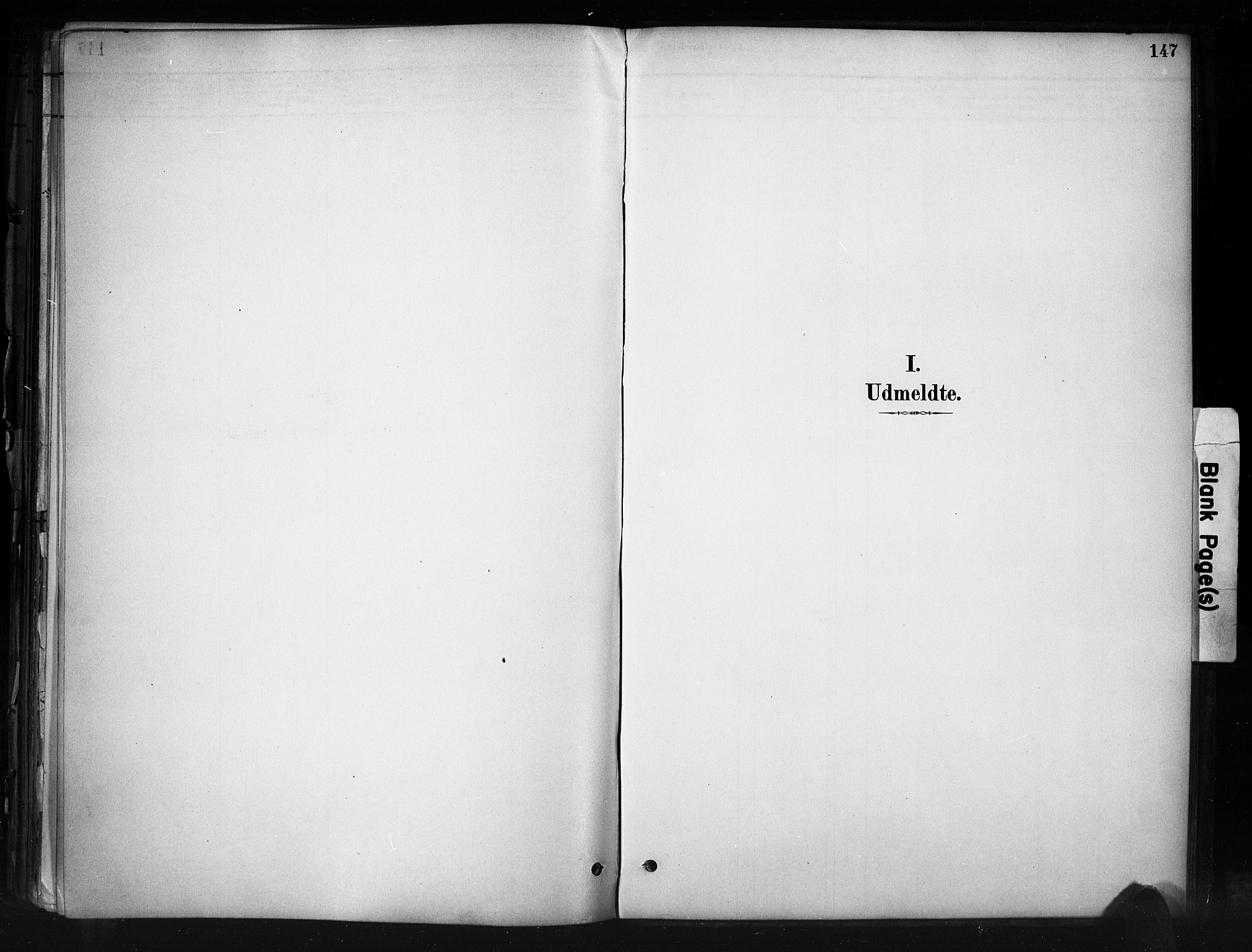 Nord-Aurdal prestekontor, AV/SAH-PREST-132/H/Ha/Haa/L0013: Parish register (official) no. 13, 1883-1895, p. 147