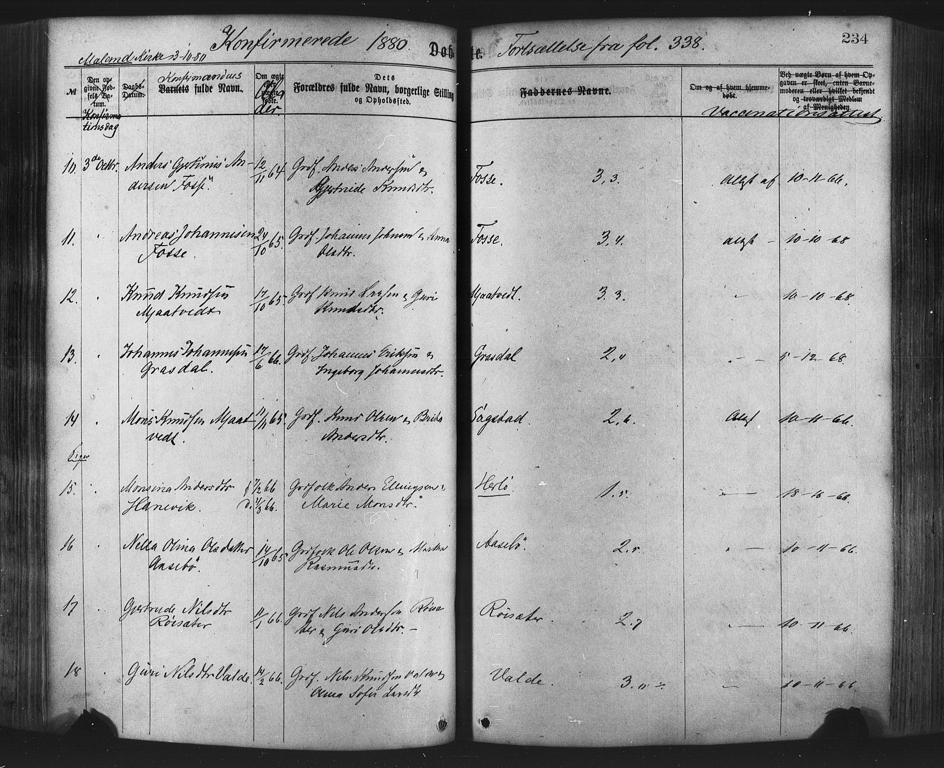 Hamre sokneprestembete, SAB/A-75501/H/Ha/Haa/Haaa/L0015: Parish register (official) no. A 15, 1870-1881, p. 234