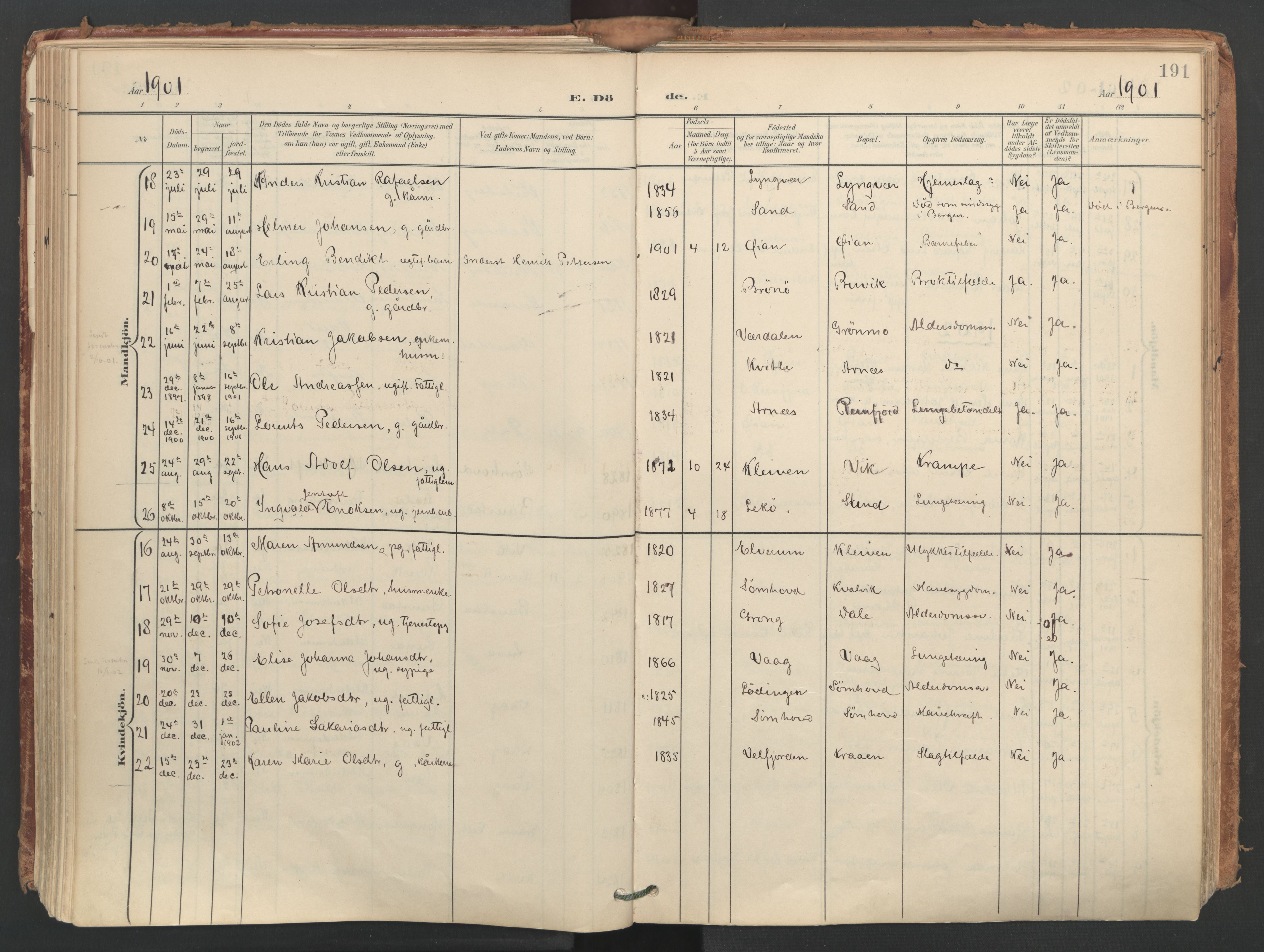 Ministerialprotokoller, klokkerbøker og fødselsregistre - Nordland, SAT/A-1459/812/L0180: Parish register (official) no. 812A09, 1901-1915, p. 191