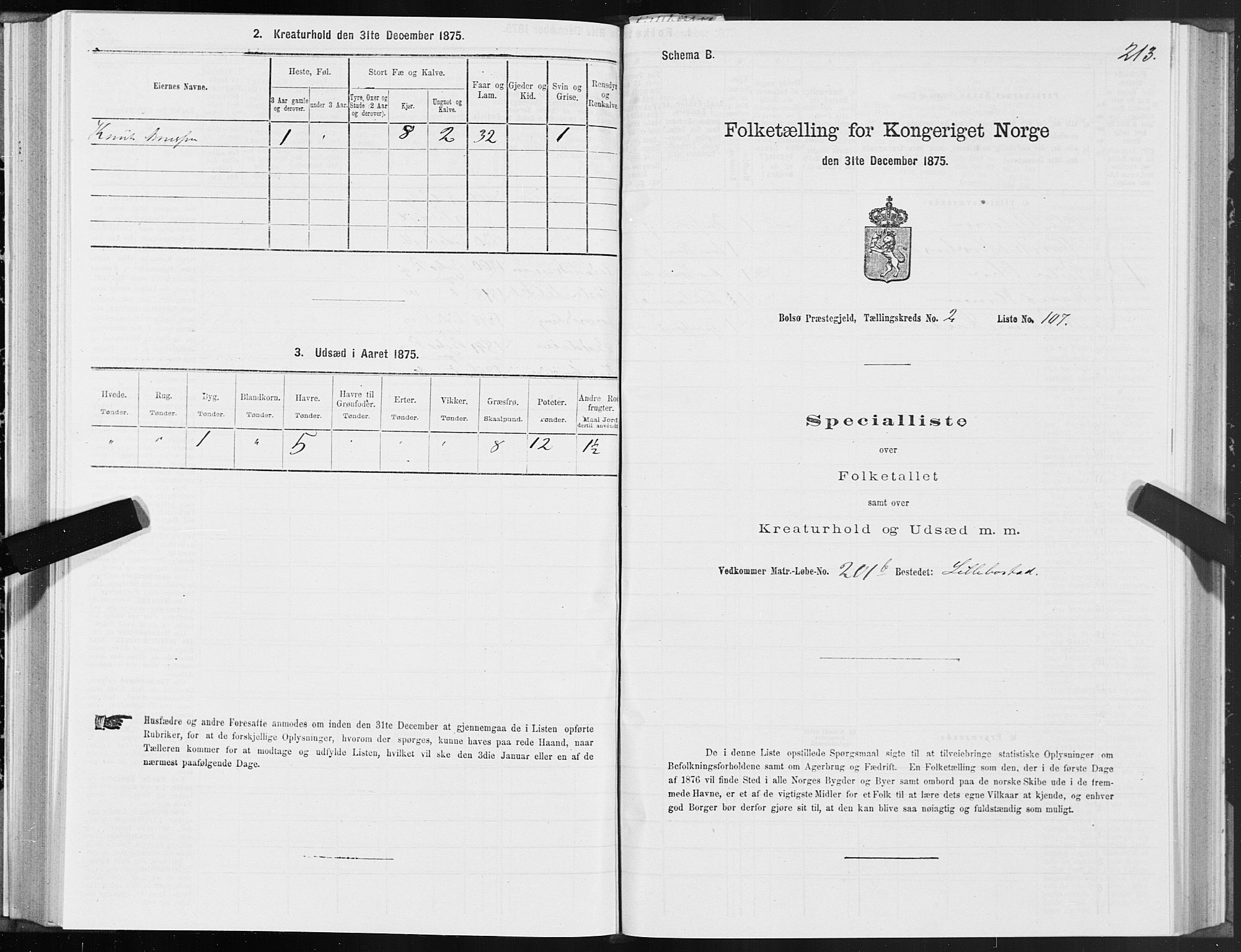 SAT, 1875 census for 1544P Bolsøy, 1875, p. 2213