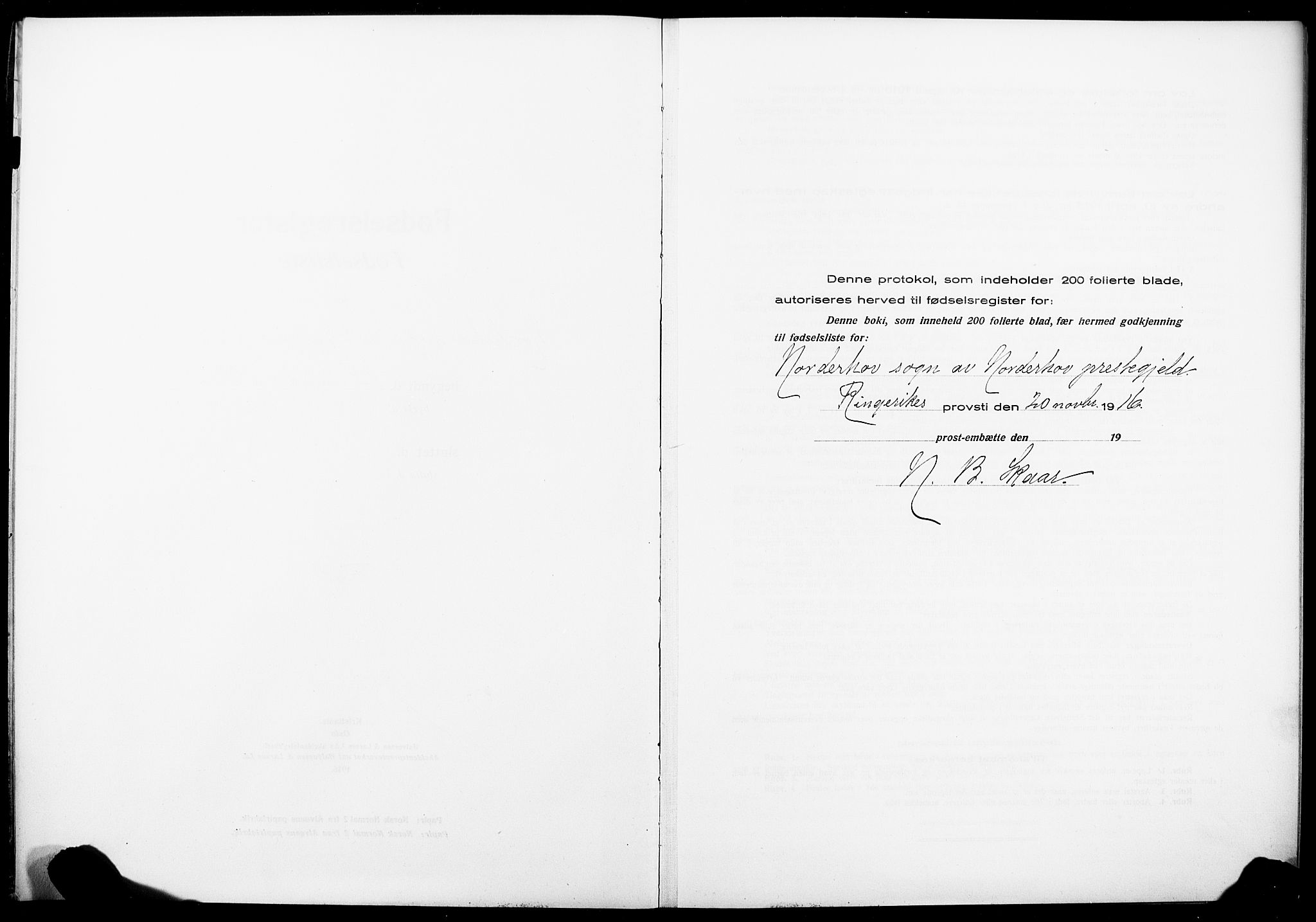 Norderhov kirkebøker, SAKO/A-237/J/Ja/L0001: Birth register no. 1, 1916-1930
