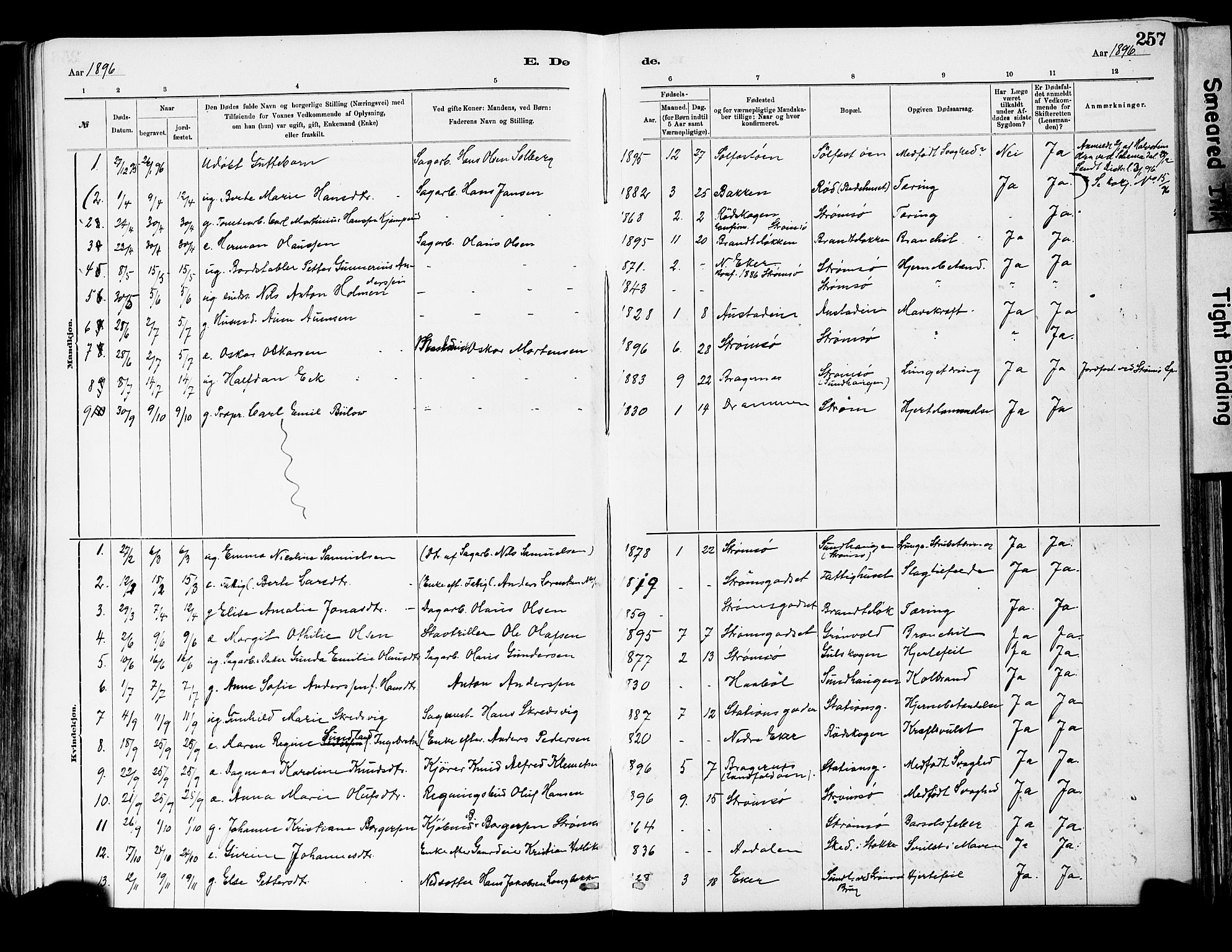 Strømsgodset kirkebøker, AV/SAKO-A-324/F/Fa/L0001: Parish register (official) no. 1, 1885-1909, p. 257