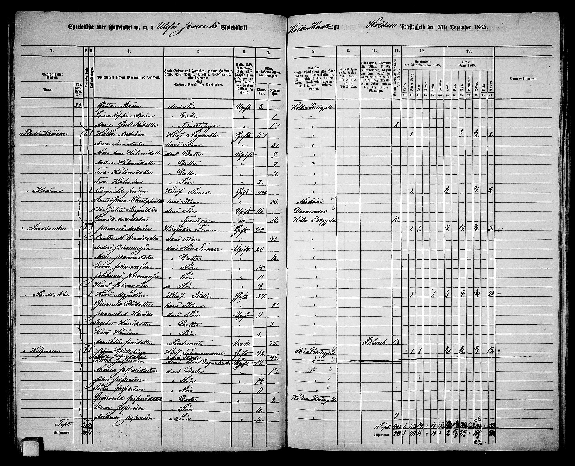 RA, 1865 census for Holla, 1865, p. 62