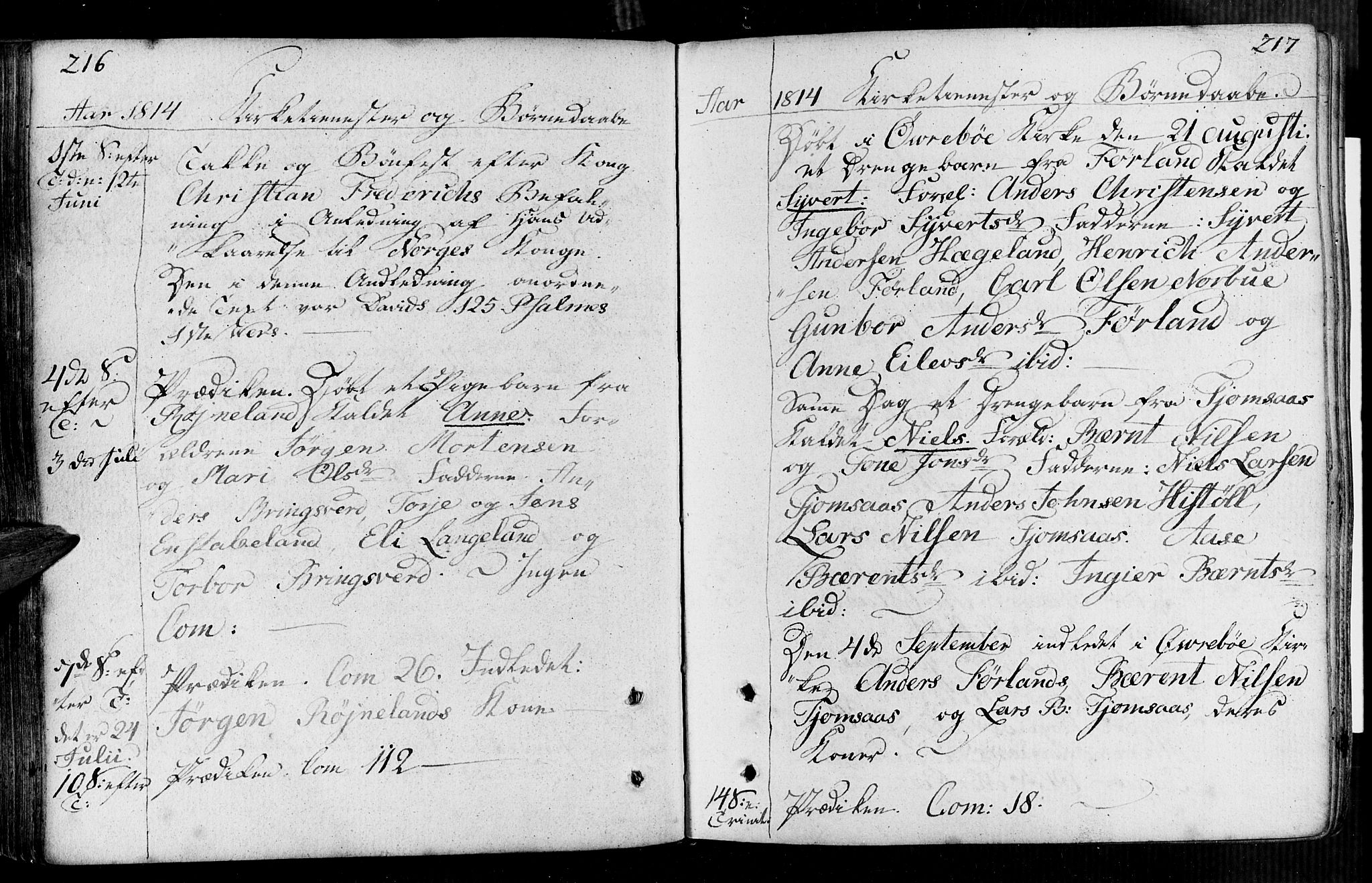 Vennesla sokneprestkontor, AV/SAK-1111-0045/Fa/Faa/L0002: Parish register (official) no. A 2, 1785-1834, p. 216-217