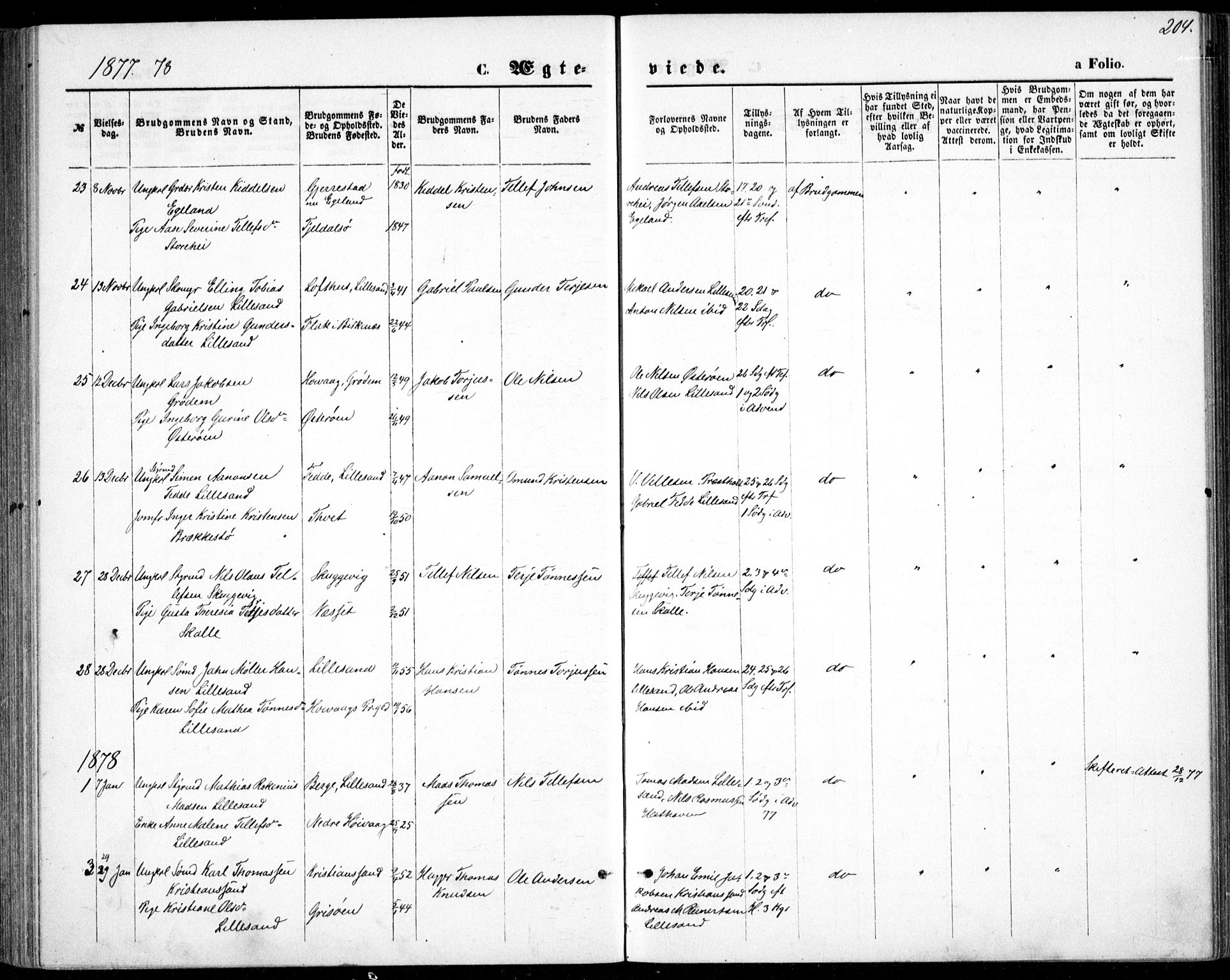 Vestre Moland sokneprestkontor, AV/SAK-1111-0046/F/Fb/Fbb/L0005: Parish register (copy) no. B 5, 1872-1883, p. 204