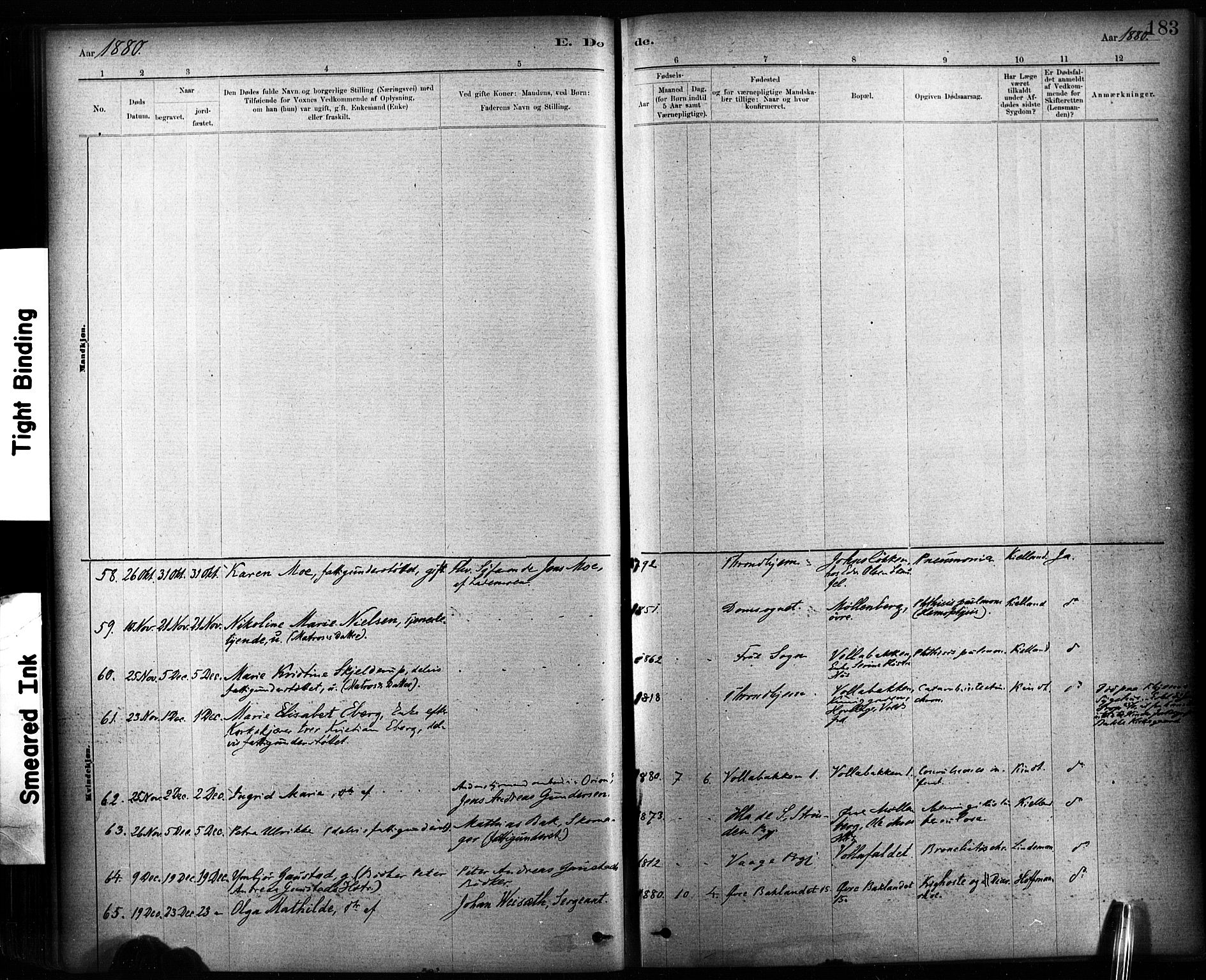 Ministerialprotokoller, klokkerbøker og fødselsregistre - Sør-Trøndelag, SAT/A-1456/604/L0189: Parish register (official) no. 604A10, 1878-1892, p. 183