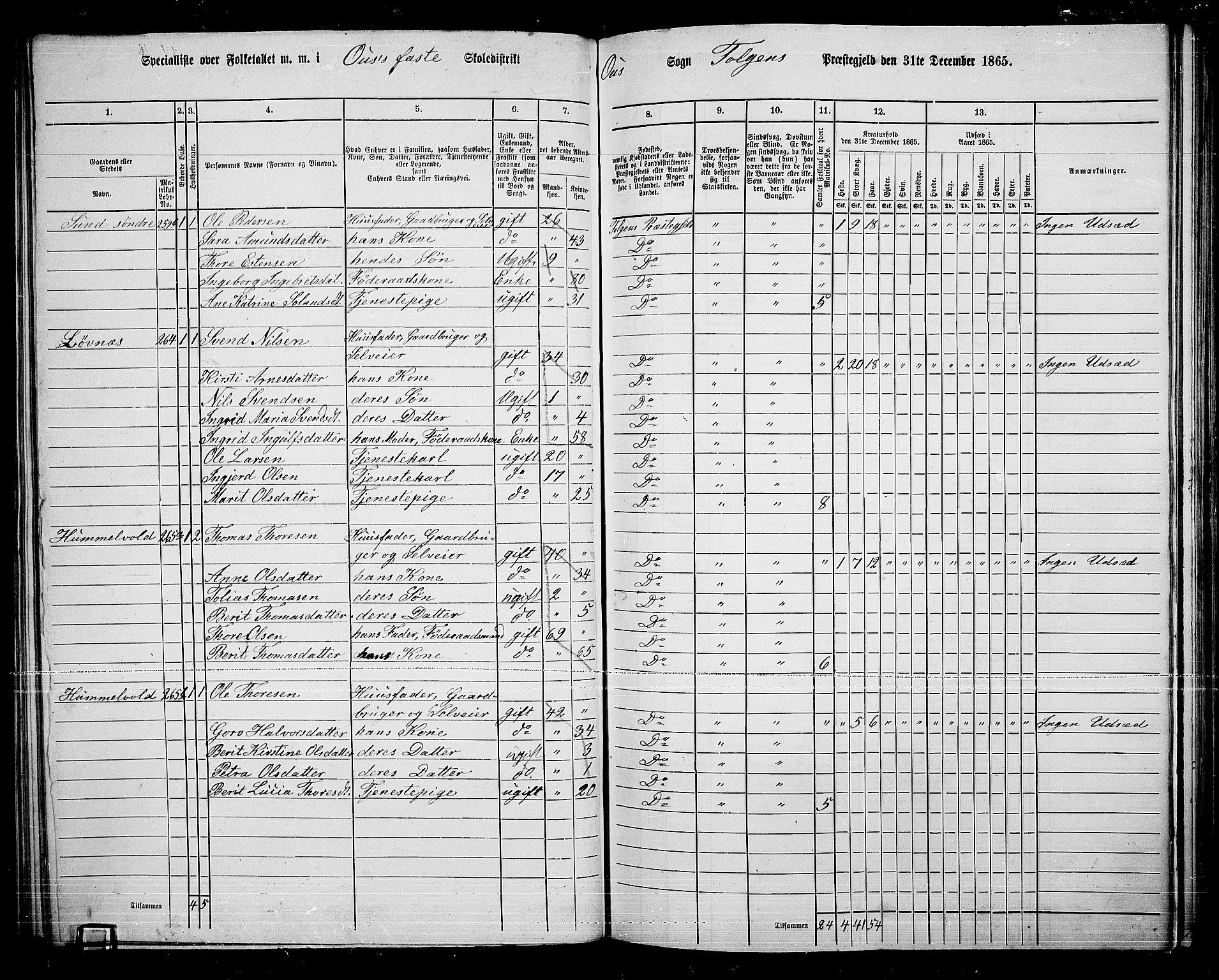 RA, 1865 census for Tolga, 1865, p. 141