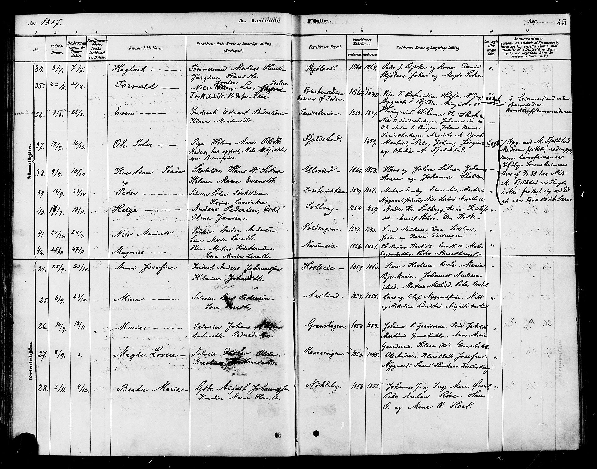 Vestre Toten prestekontor, AV/SAH-PREST-108/H/Ha/Haa/L0010: Parish register (official) no. 10, 1878-1894, p. 45