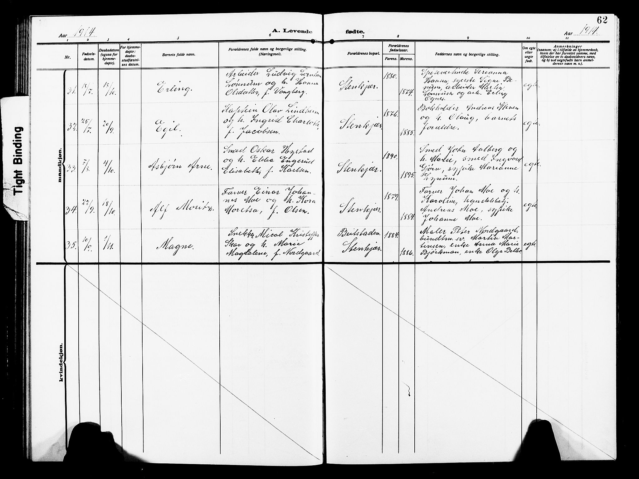 Ministerialprotokoller, klokkerbøker og fødselsregistre - Nord-Trøndelag, AV/SAT-A-1458/739/L0376: Parish register (copy) no. 739C04, 1908-1917, p. 62