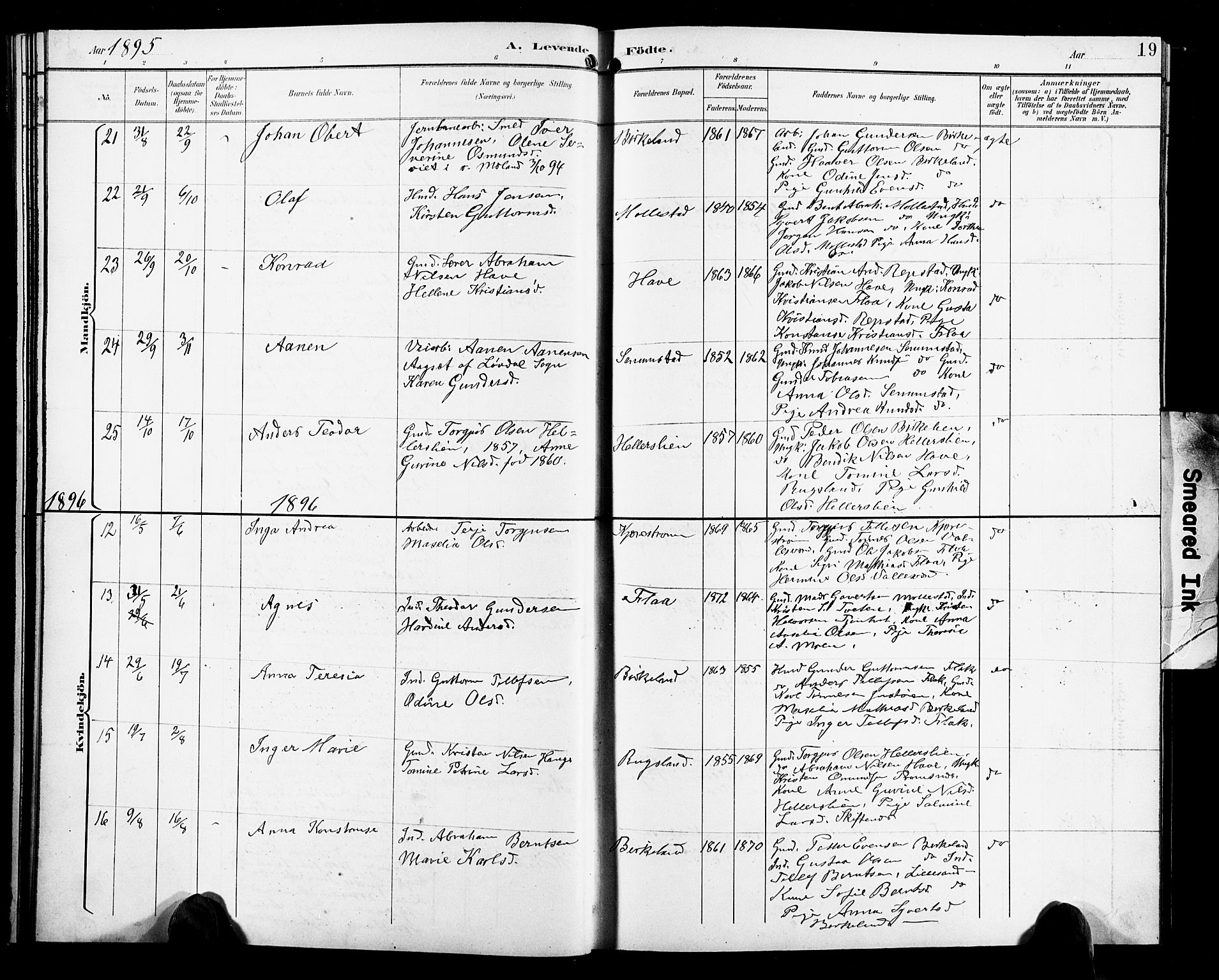 Birkenes sokneprestkontor, AV/SAK-1111-0004/F/Fb/L0004: Parish register (copy) no. B 4, 1893-1930, p. 19