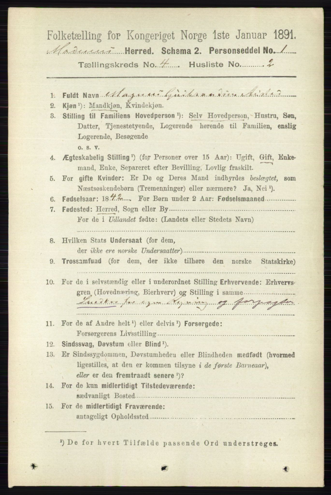 RA, 1891 census for 0623 Modum, 1891, p. 993