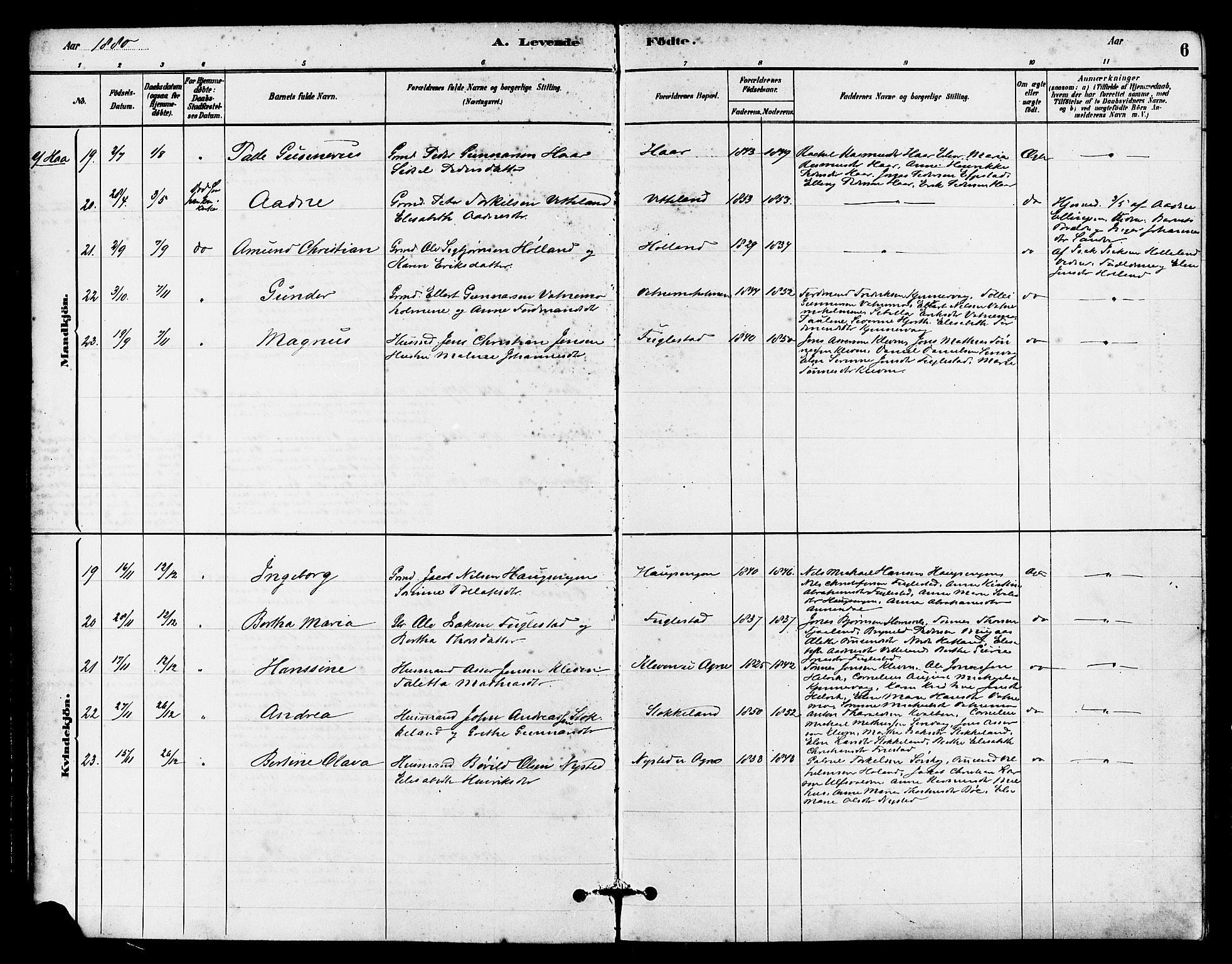 Eigersund sokneprestkontor, AV/SAST-A-101807/S08/L0016: Parish register (official) no. A 16, 1879-1893, p. 6