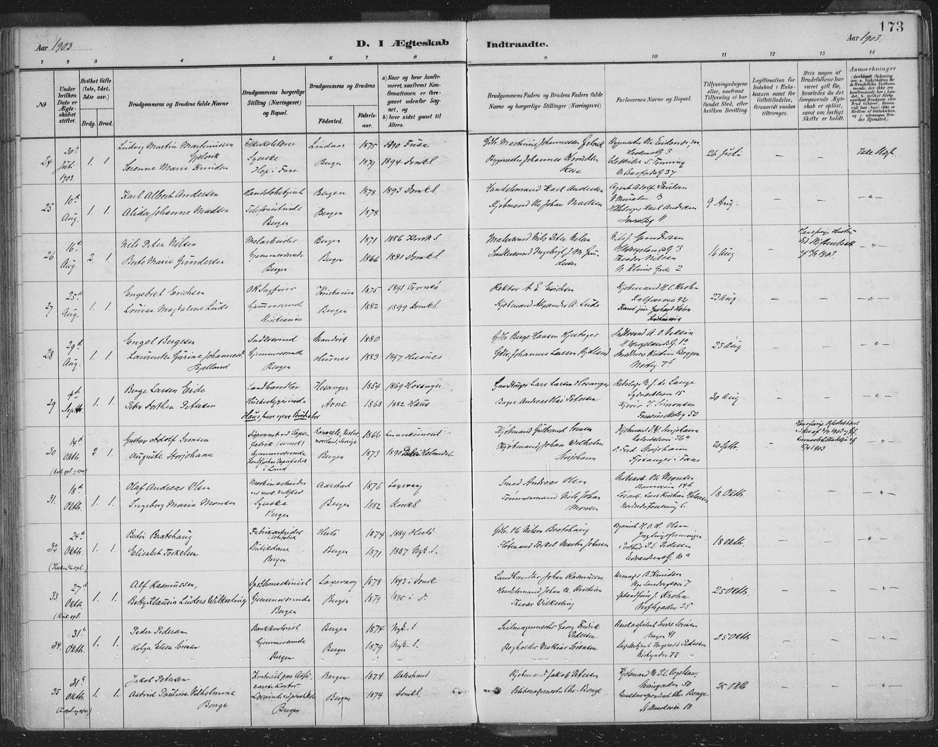 Domkirken sokneprestembete, AV/SAB-A-74801/H/Hab/L0032: Parish register (copy) no. D 4, 1880-1907, p. 173