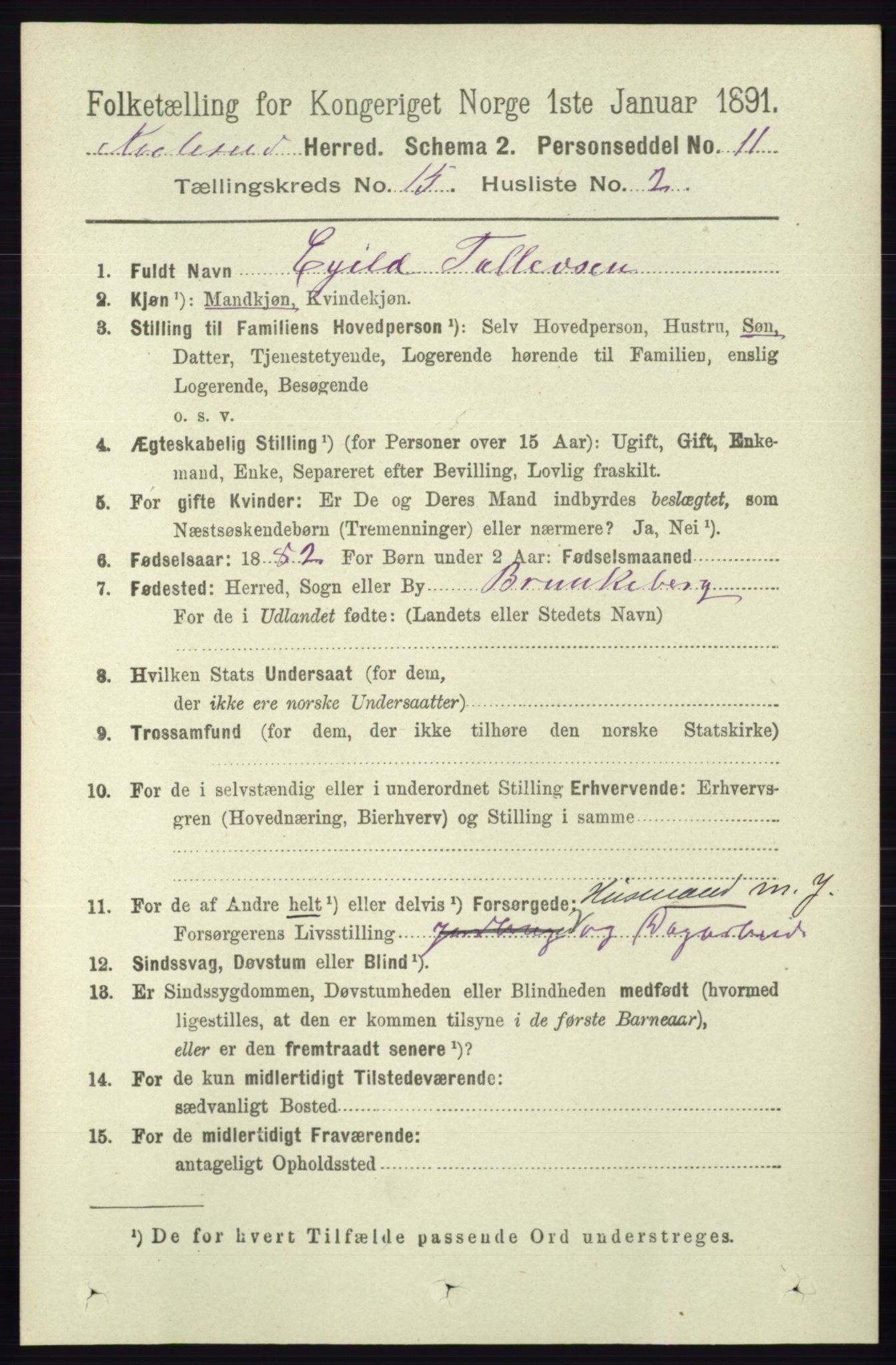 RA, 1891 census for 0829 Kviteseid, 1891, p. 3536