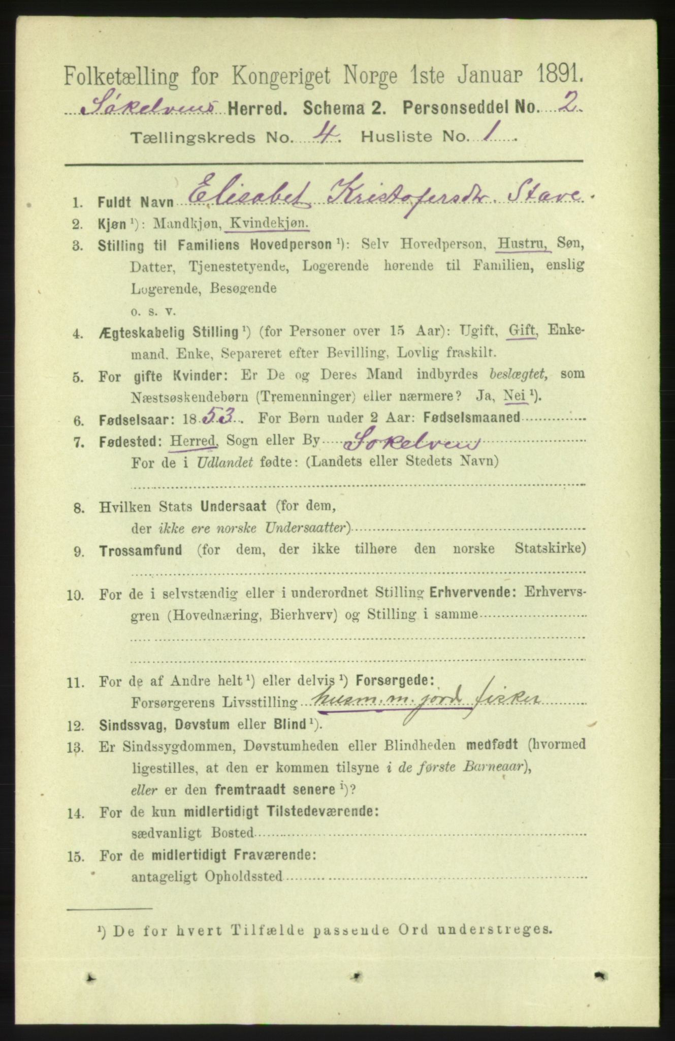 RA, 1891 census for 1528 Sykkylven, 1891, p. 2317