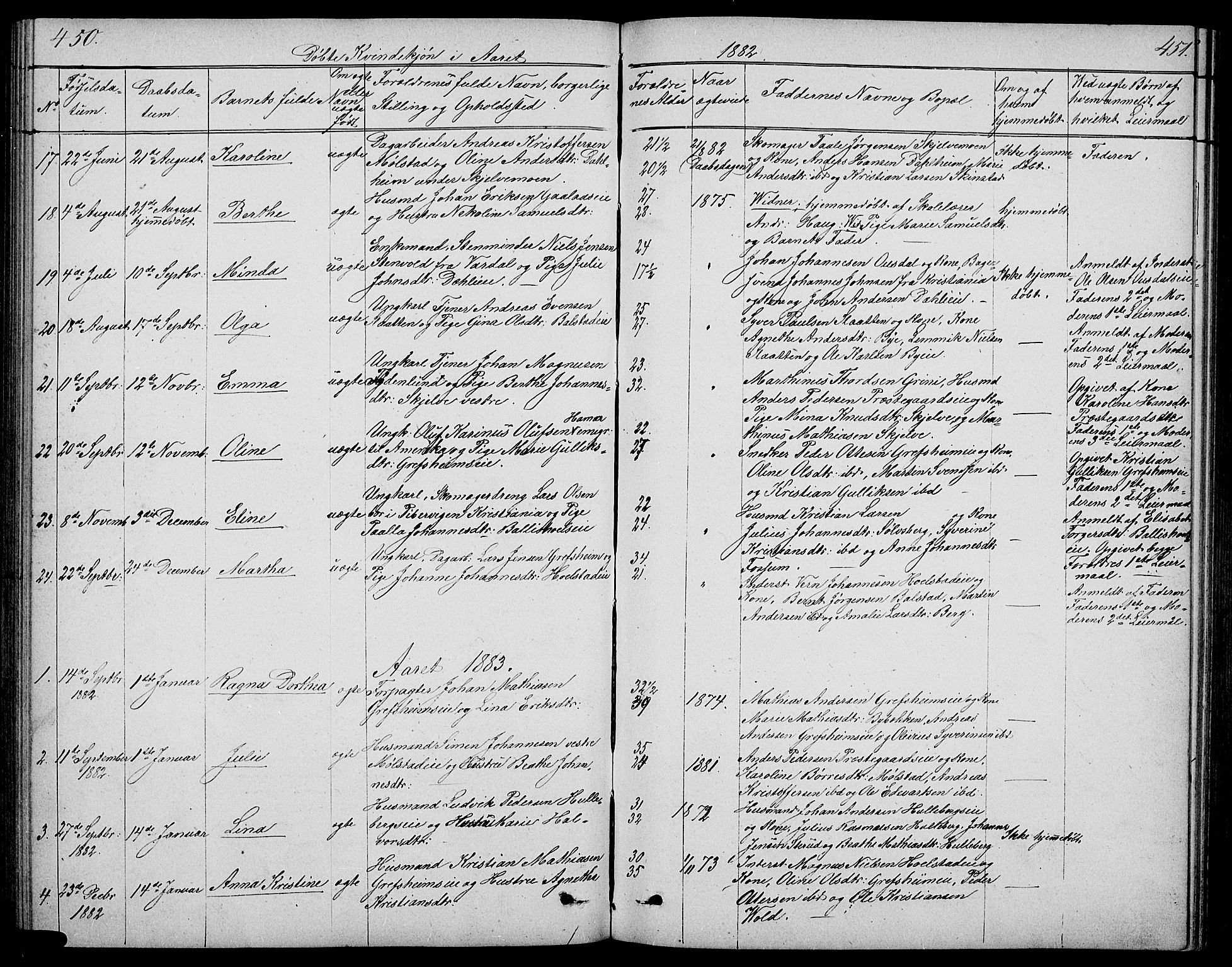 Nes prestekontor, Hedmark, SAH/PREST-020/L/La/L0005: Parish register (copy) no. 5, 1852-1889, p. 450-451