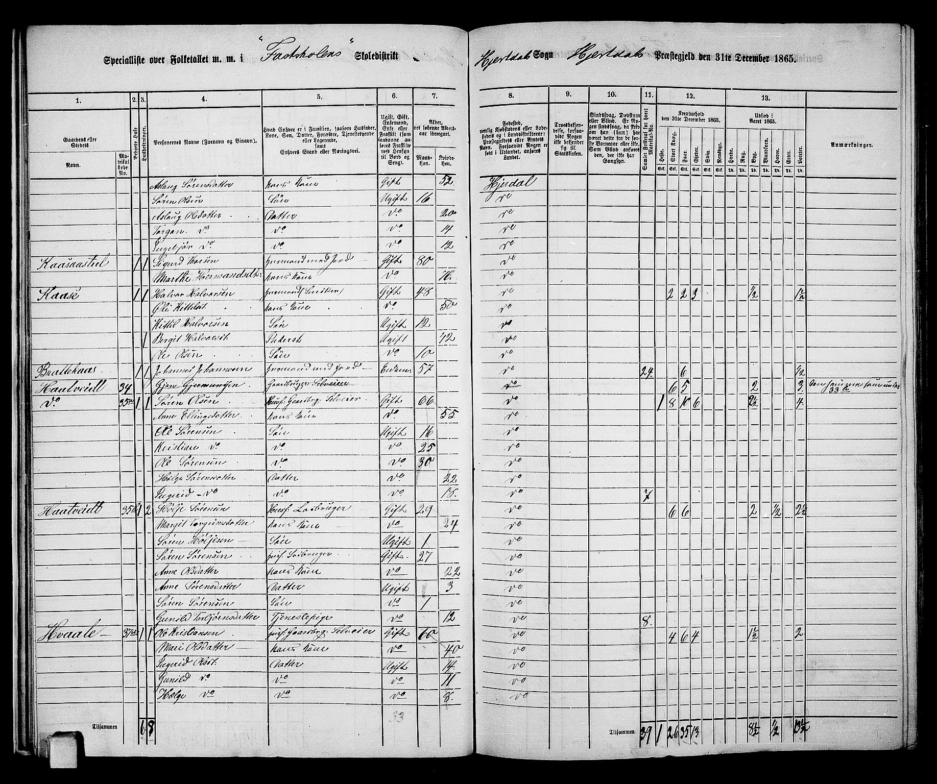 RA, 1865 census for Hjartdal, 1865, p. 21