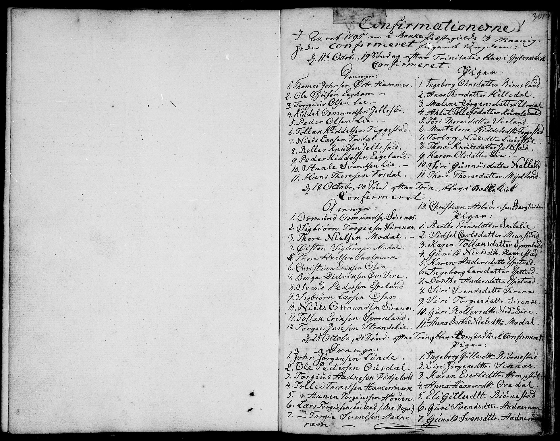 Bakke sokneprestkontor, AV/SAK-1111-0002/F/Fa/Faa/L0002: Parish register (official) no. A 2, 1780-1816, p. 301