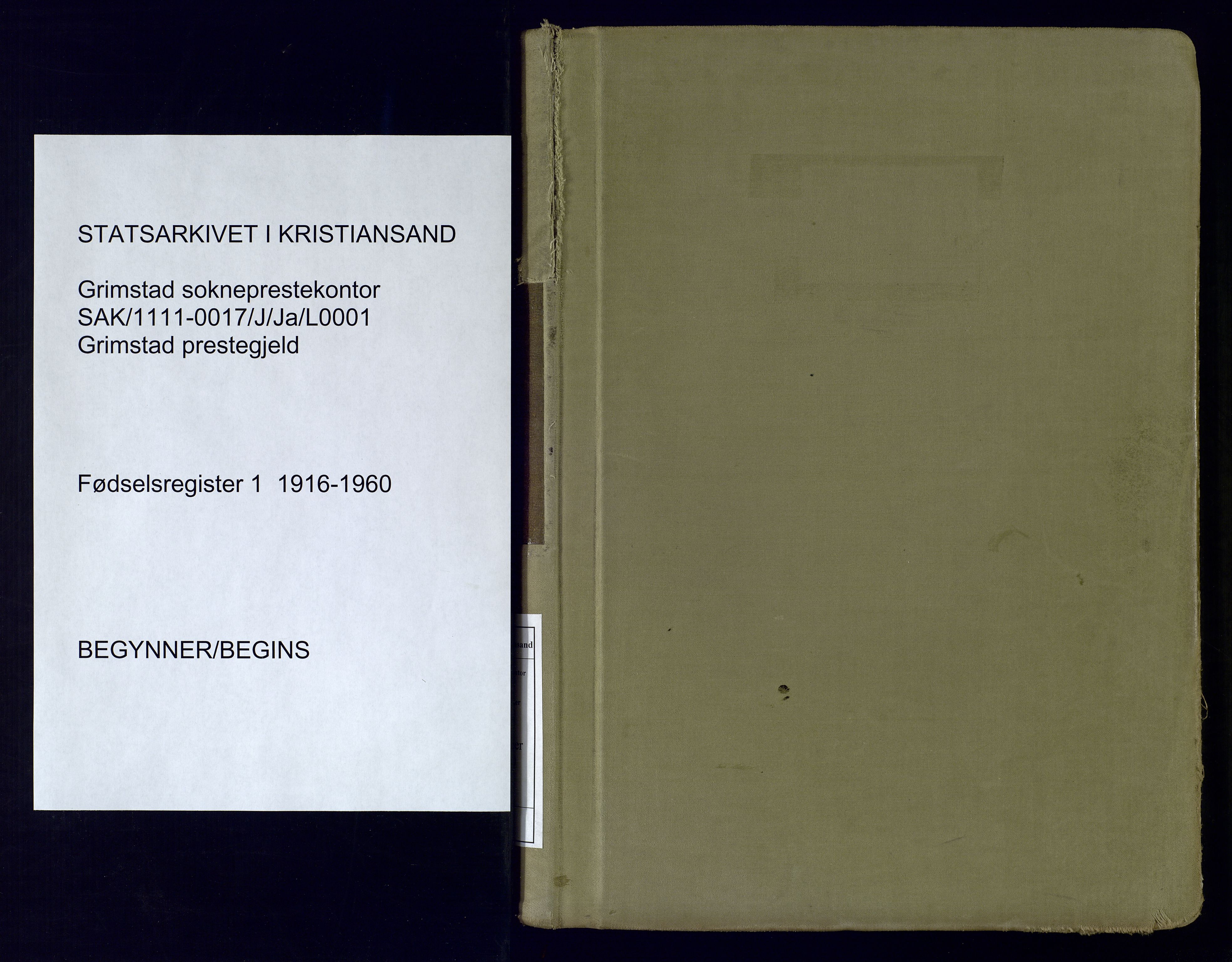Grimstad sokneprestkontor, SAK/1111-0017/J/Ja/L0001: Birth register no. 1, 1916-1960